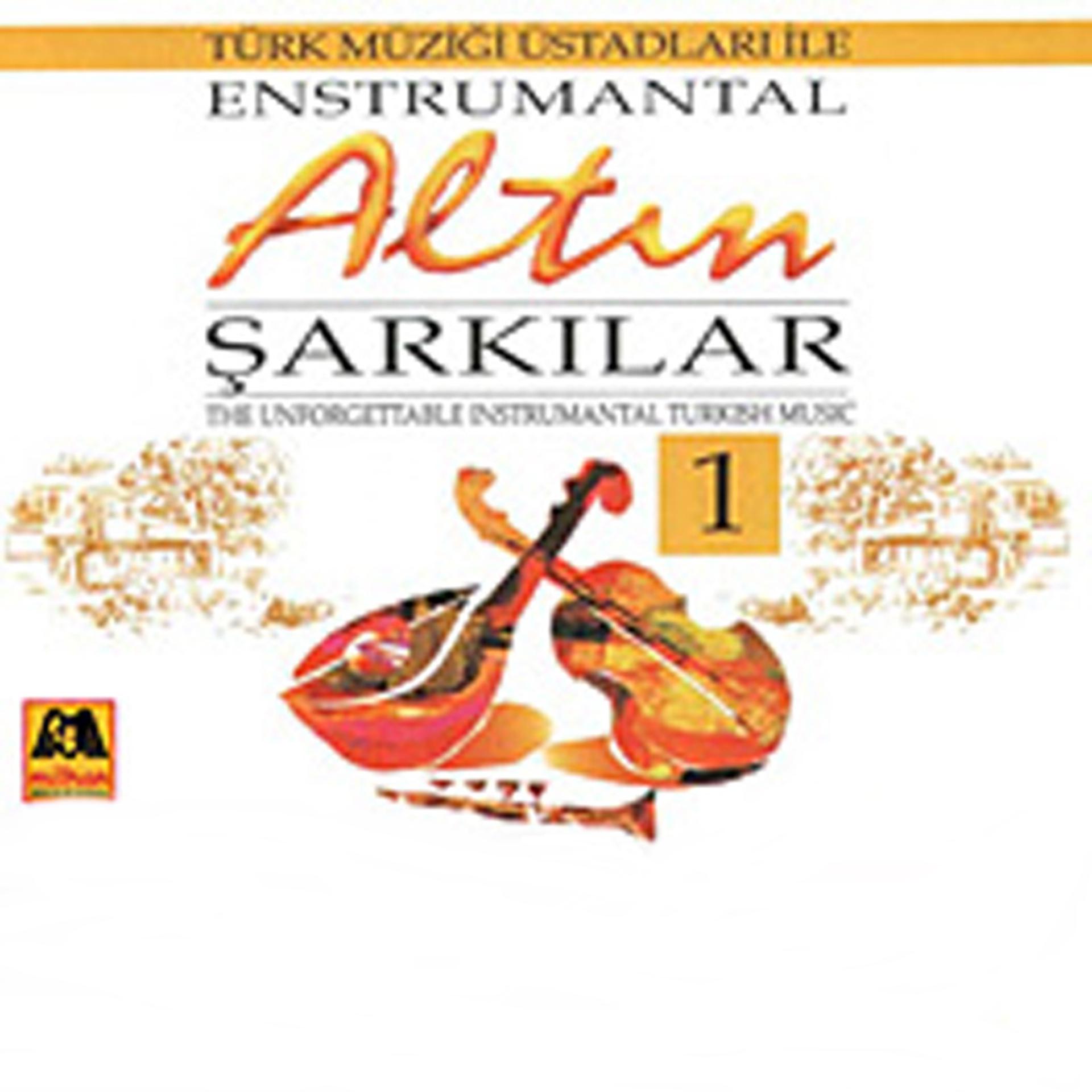 Постер альбома Enstrümantal Altın Şarkılar - 1
