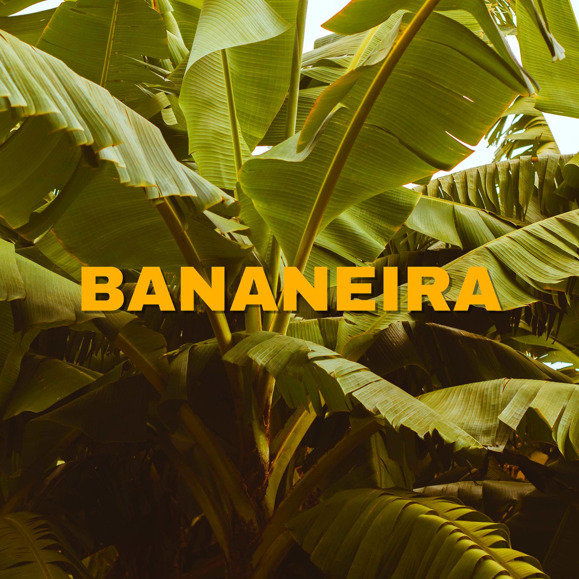 Постер альбома Bananeira