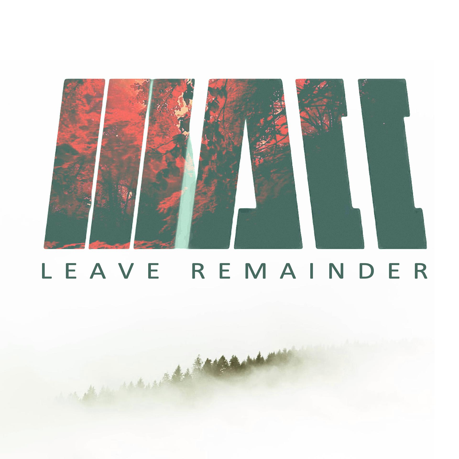 Постер альбома Leave Remainder