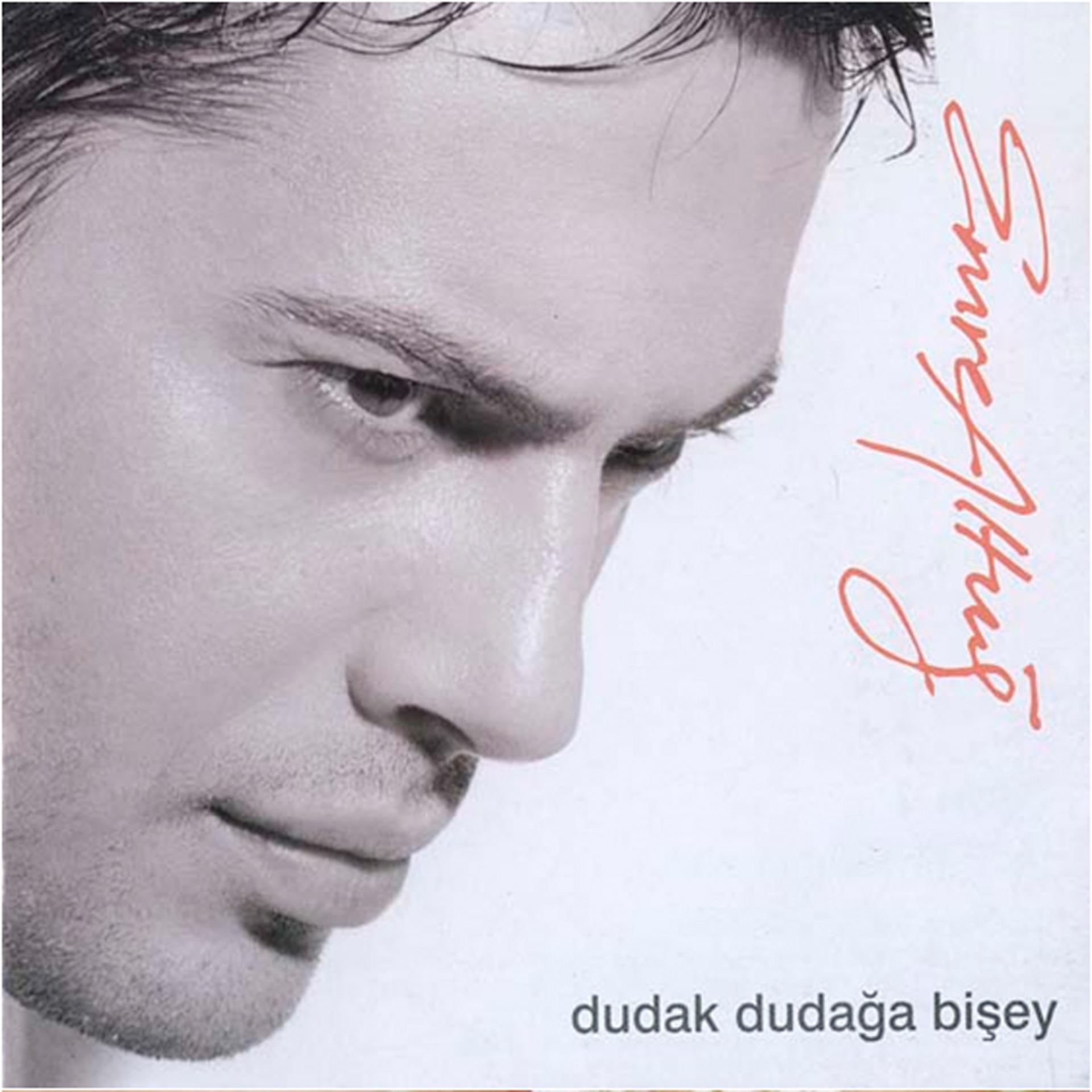 Постер альбома Dudak Dudağa Bişey