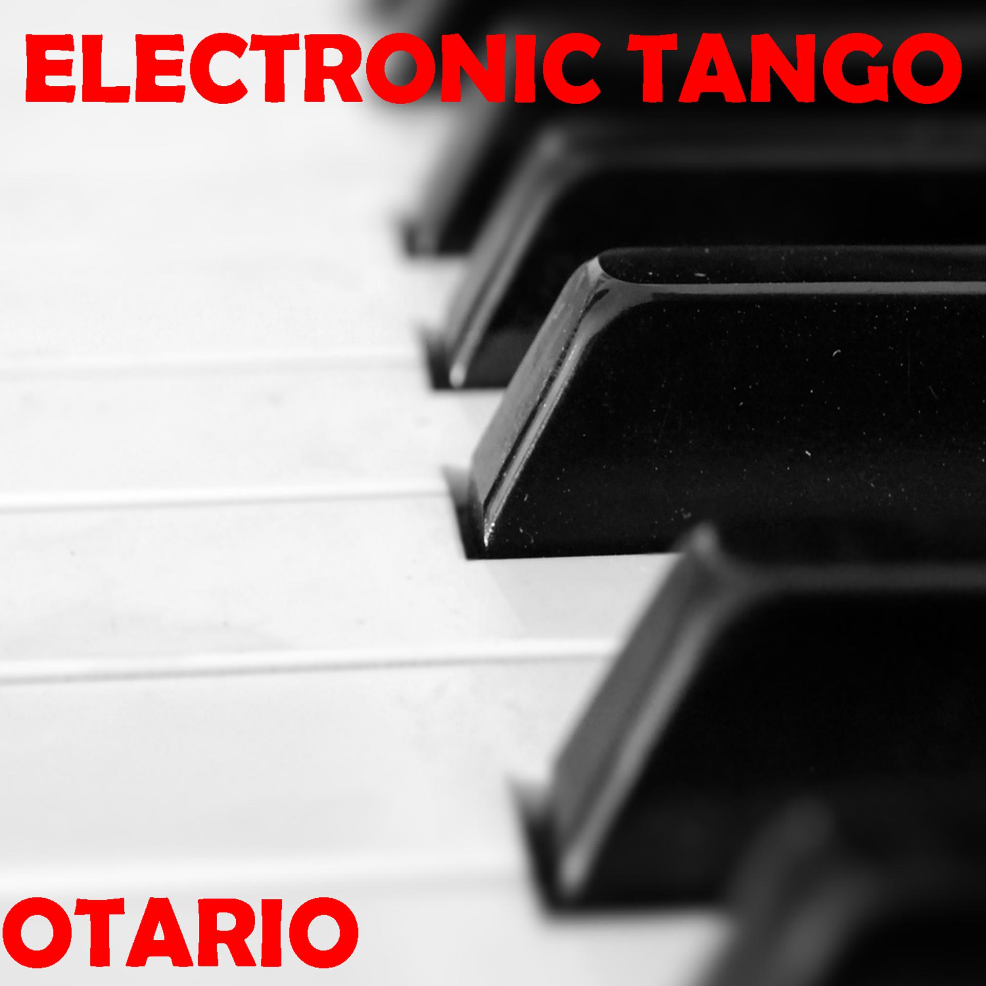 Постер альбома Electronic Tango