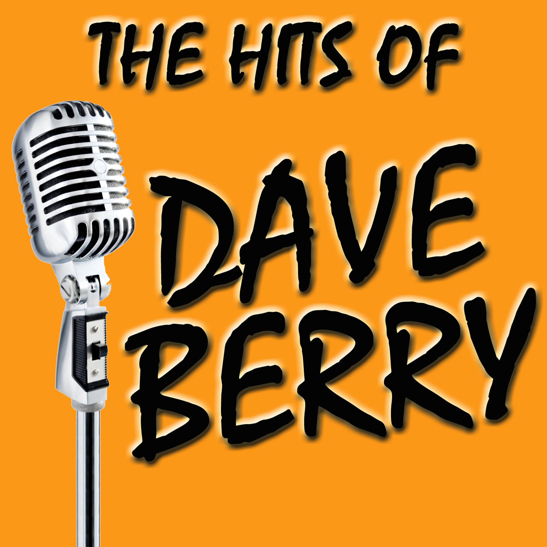 Постер альбома The Hits Of Dave Berry (Rerecorded)