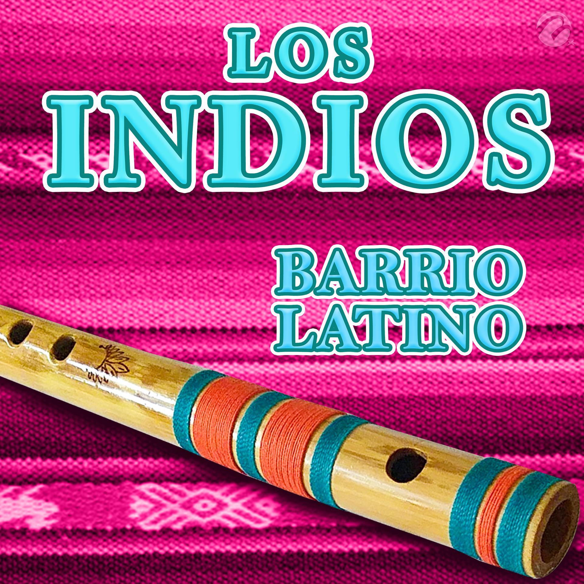 Постер альбома Barrio Latino
