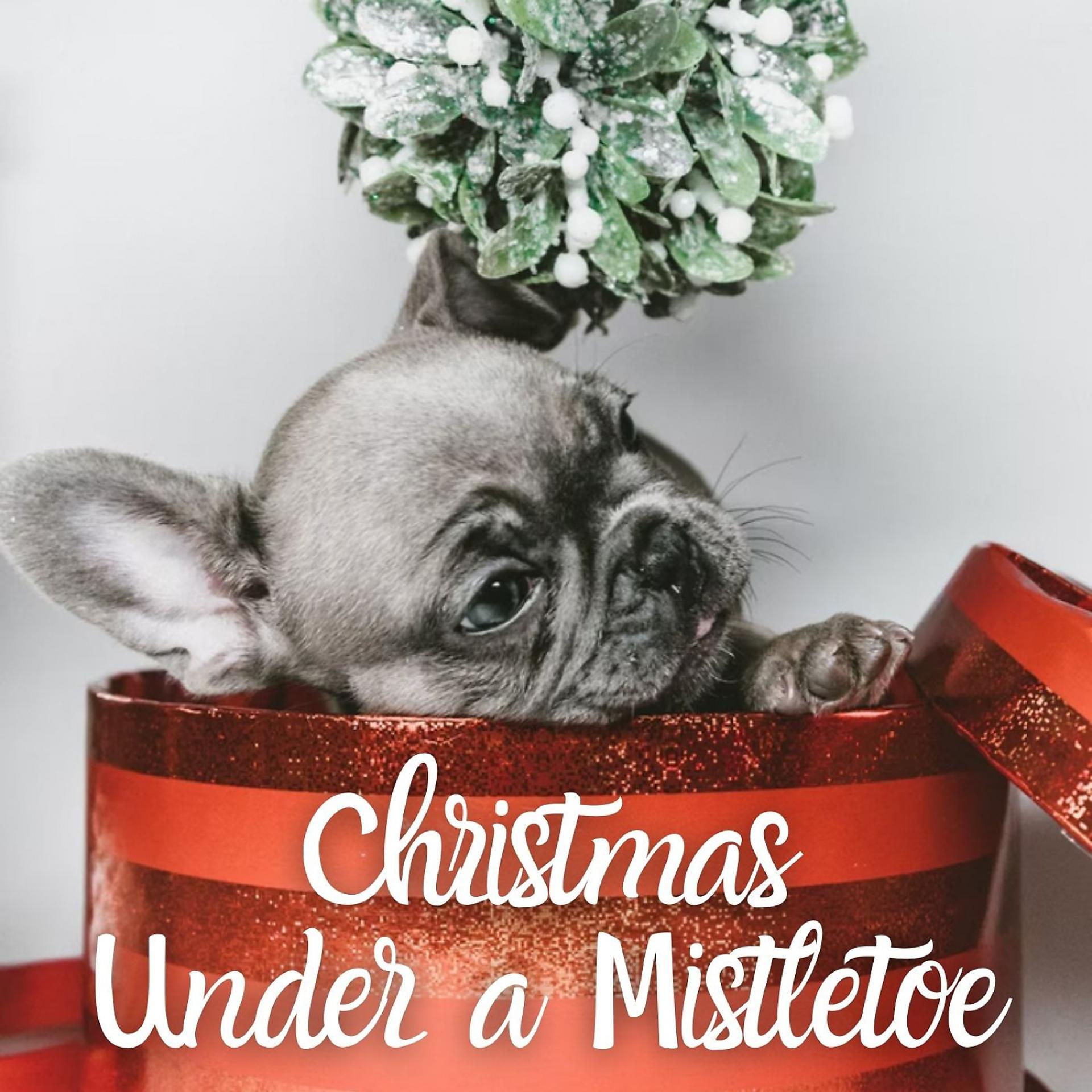 Постер альбома Christmas Under a Mistletoe