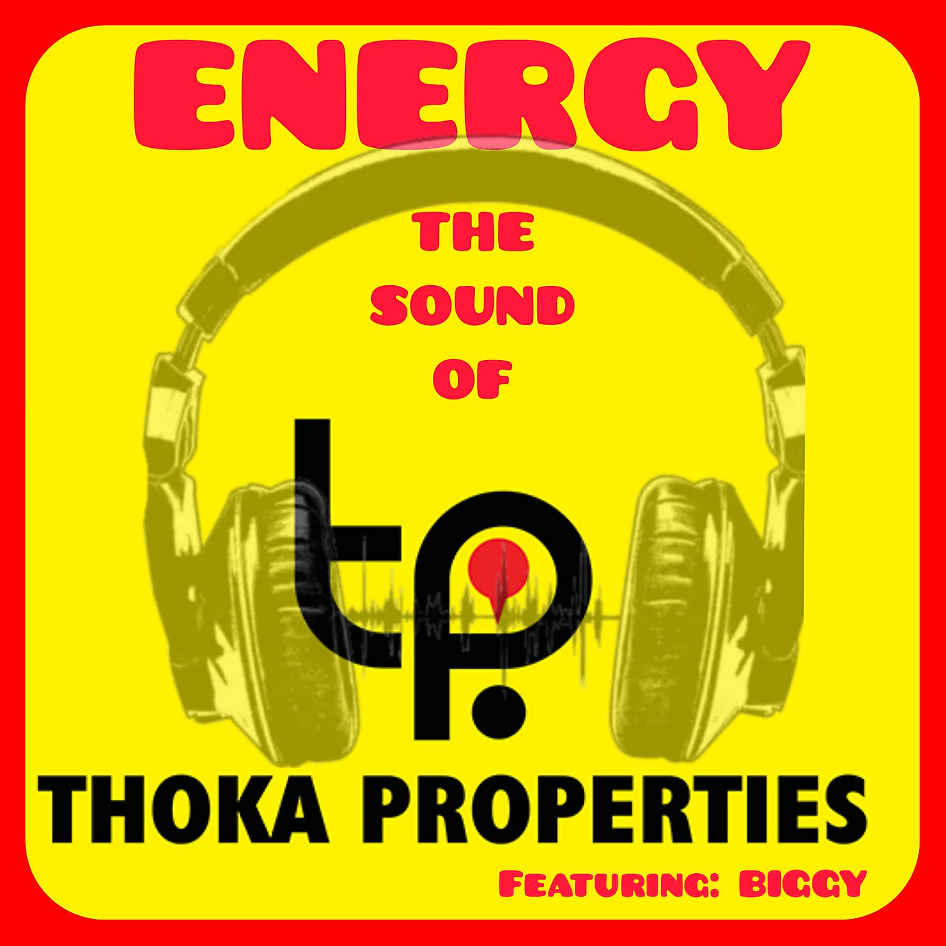 Постер альбома Energy - The Sound of Thoka Properties