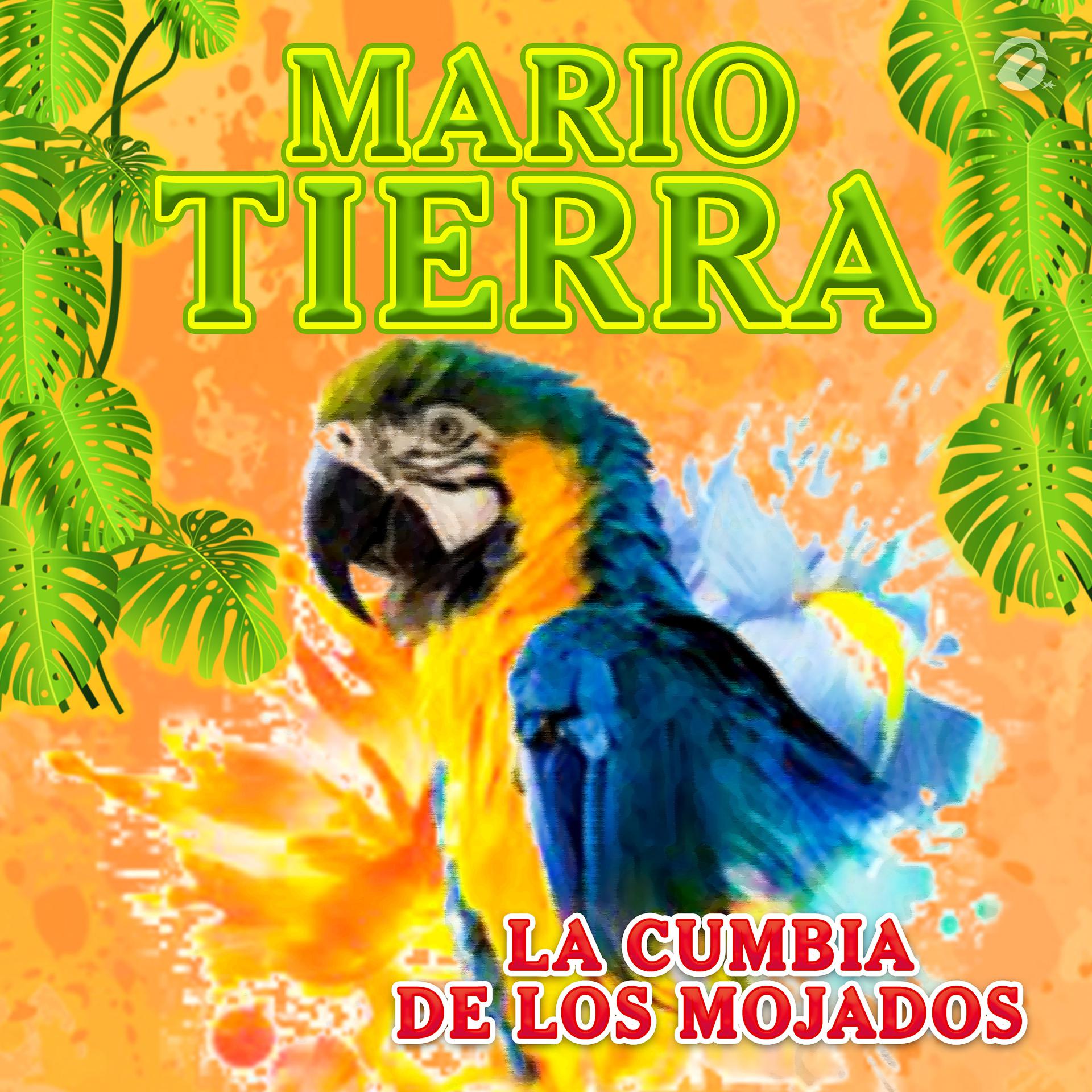 Постер альбома La Cumbia de los Mojados