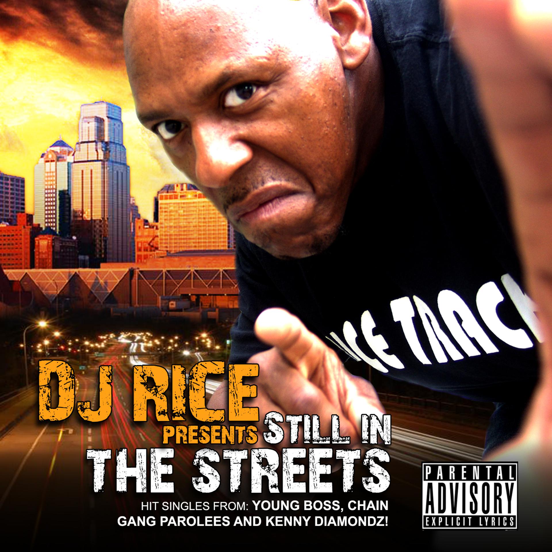 Постер альбома DJ Rice Presents... Sill In The Streets (Explicit Singles)