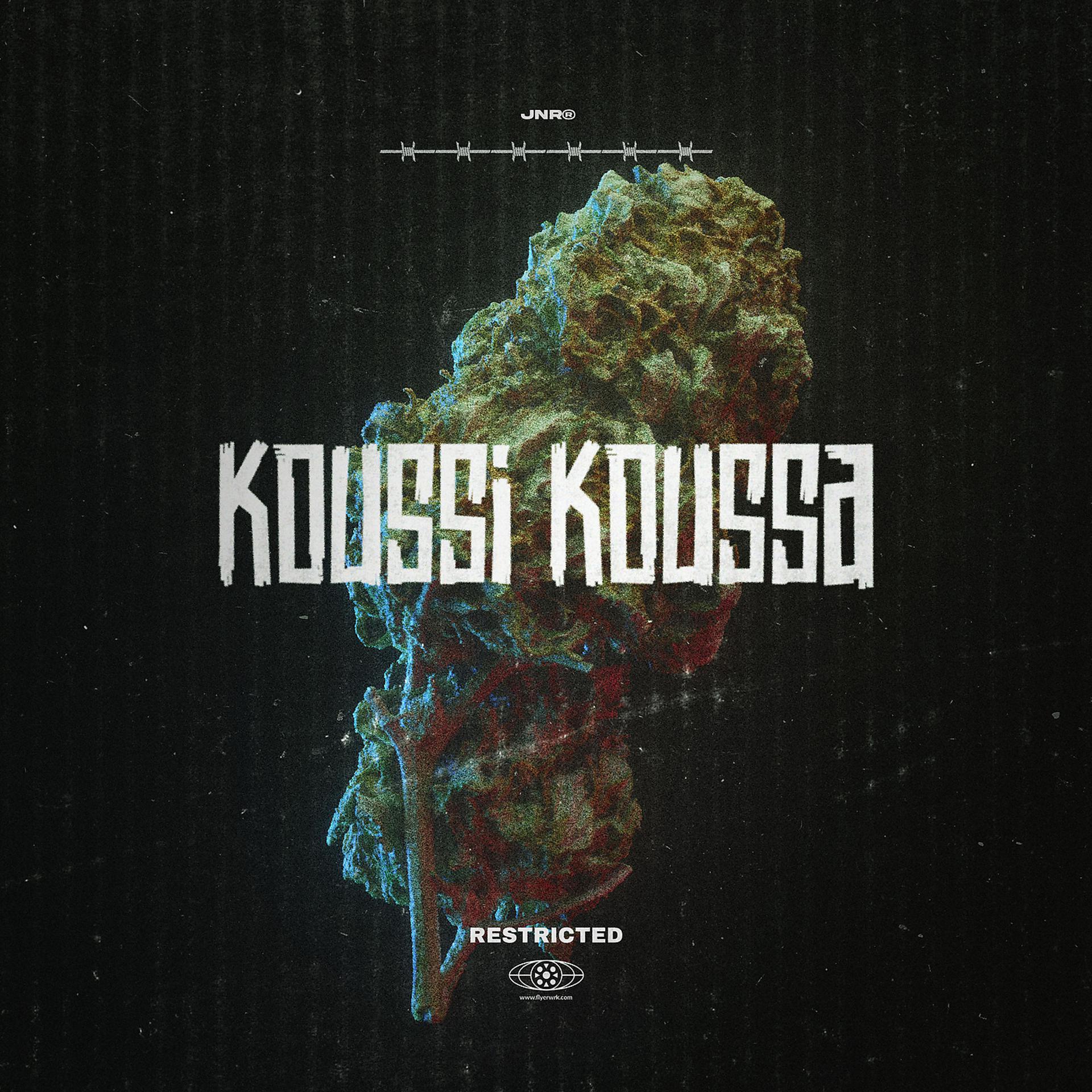 Постер альбома Koussi Koussa