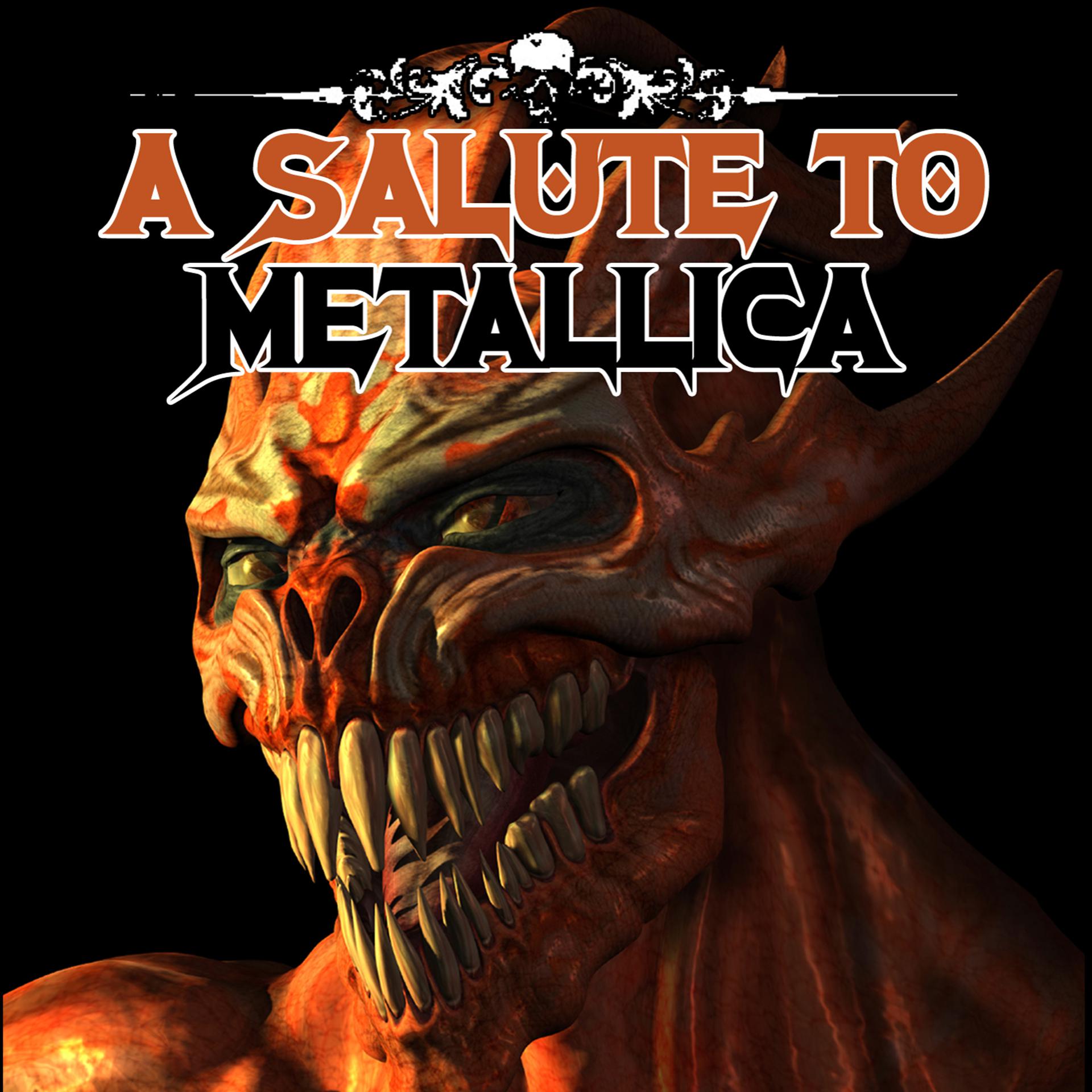 Постер альбома A Salute To Metallica