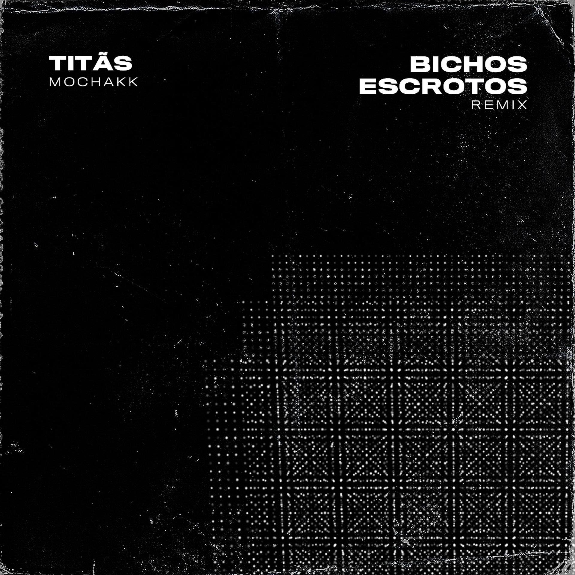 Постер альбома Bichos Escrotos (Remix)