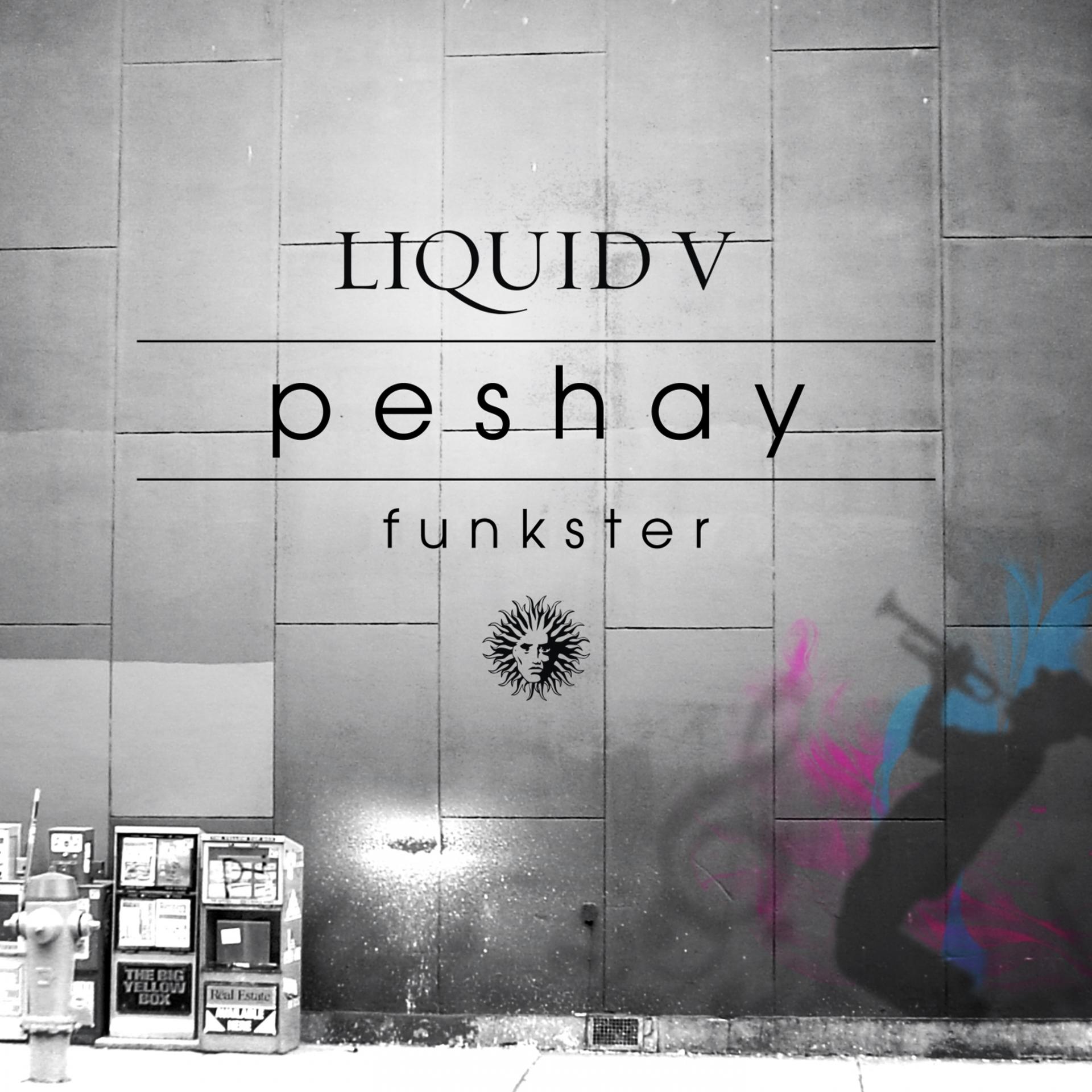 Постер альбома Funkster