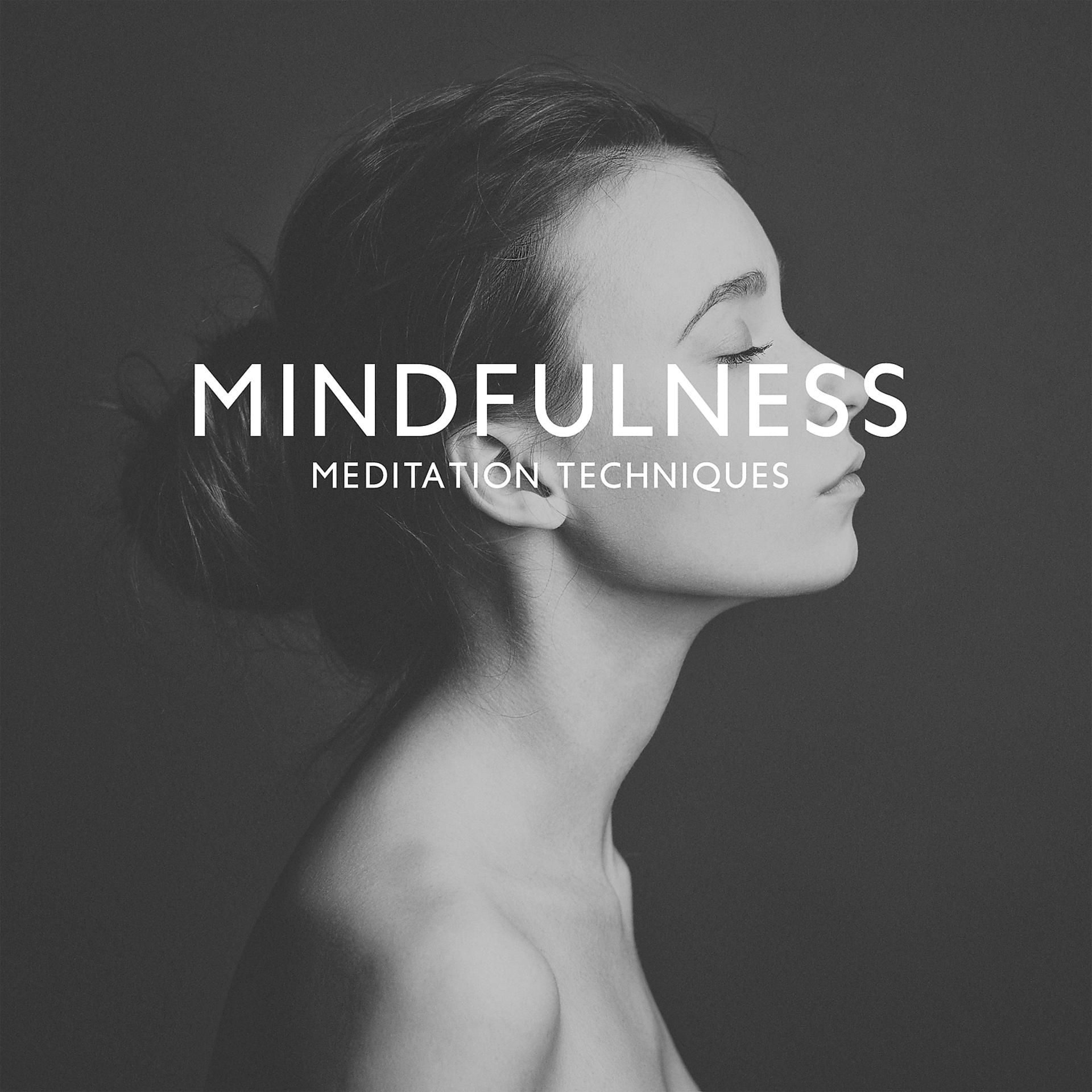 Постер альбома Mindfulness Meditation Techniques