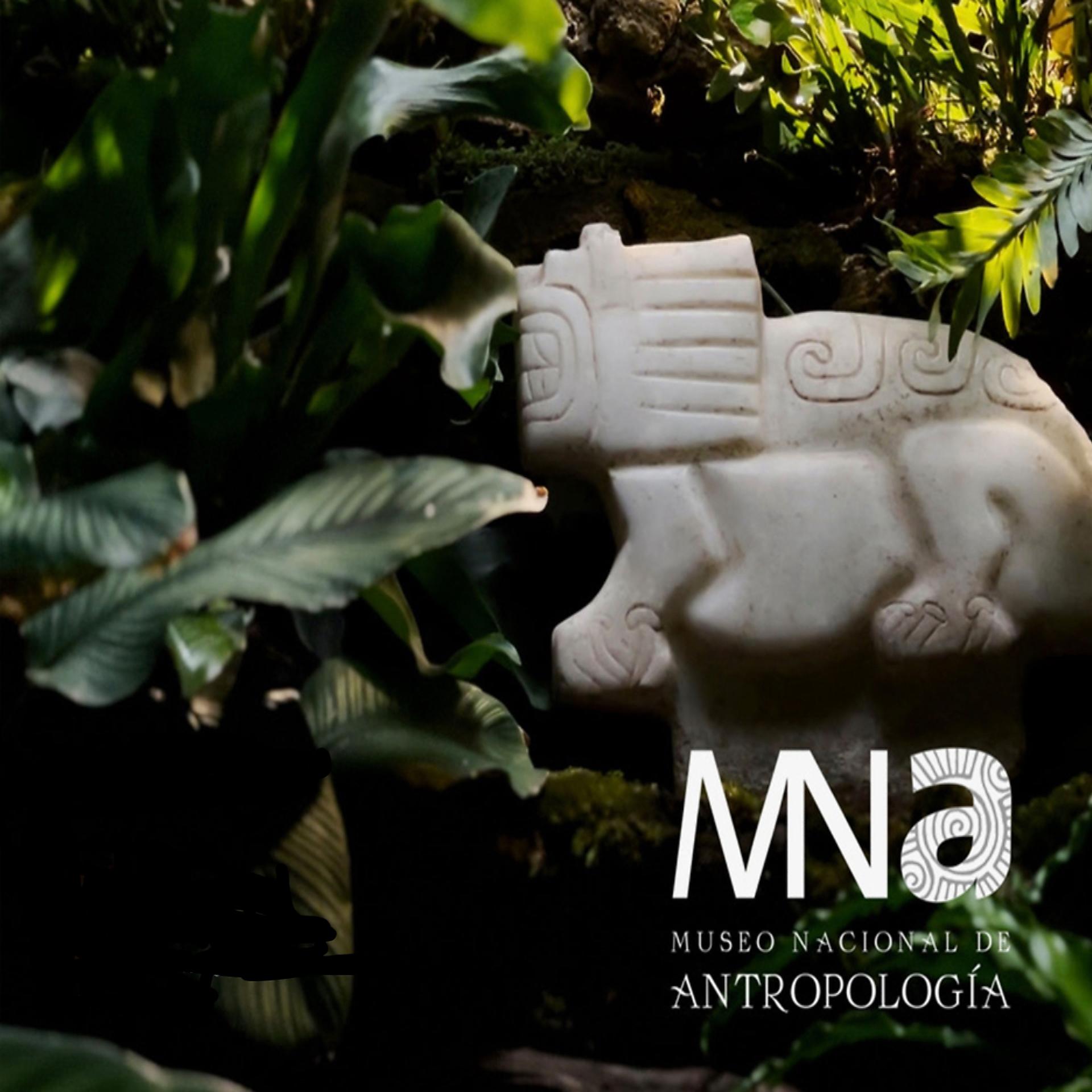 Постер альбома Museo Nacional de Antropologia