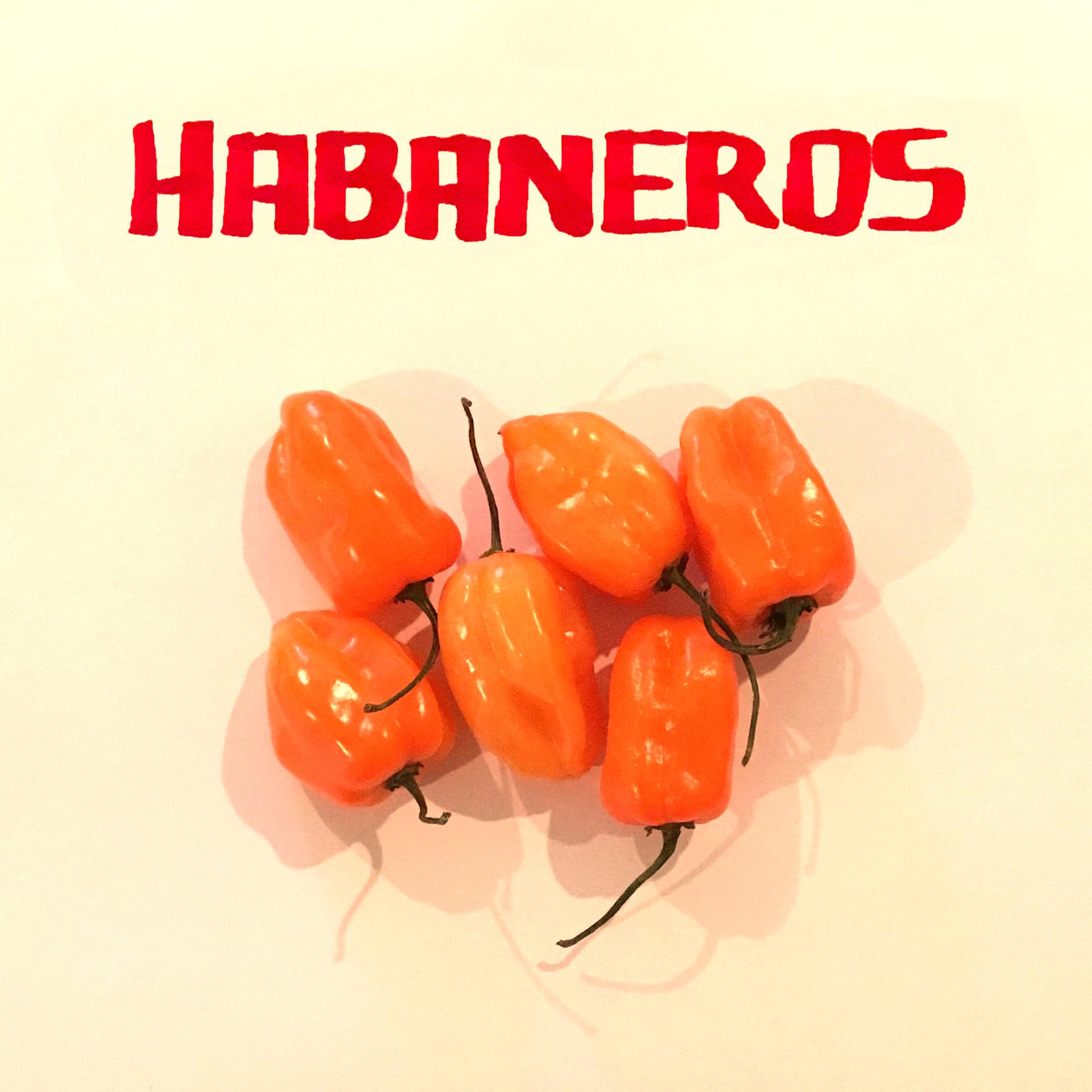 Постер альбома Habaneros