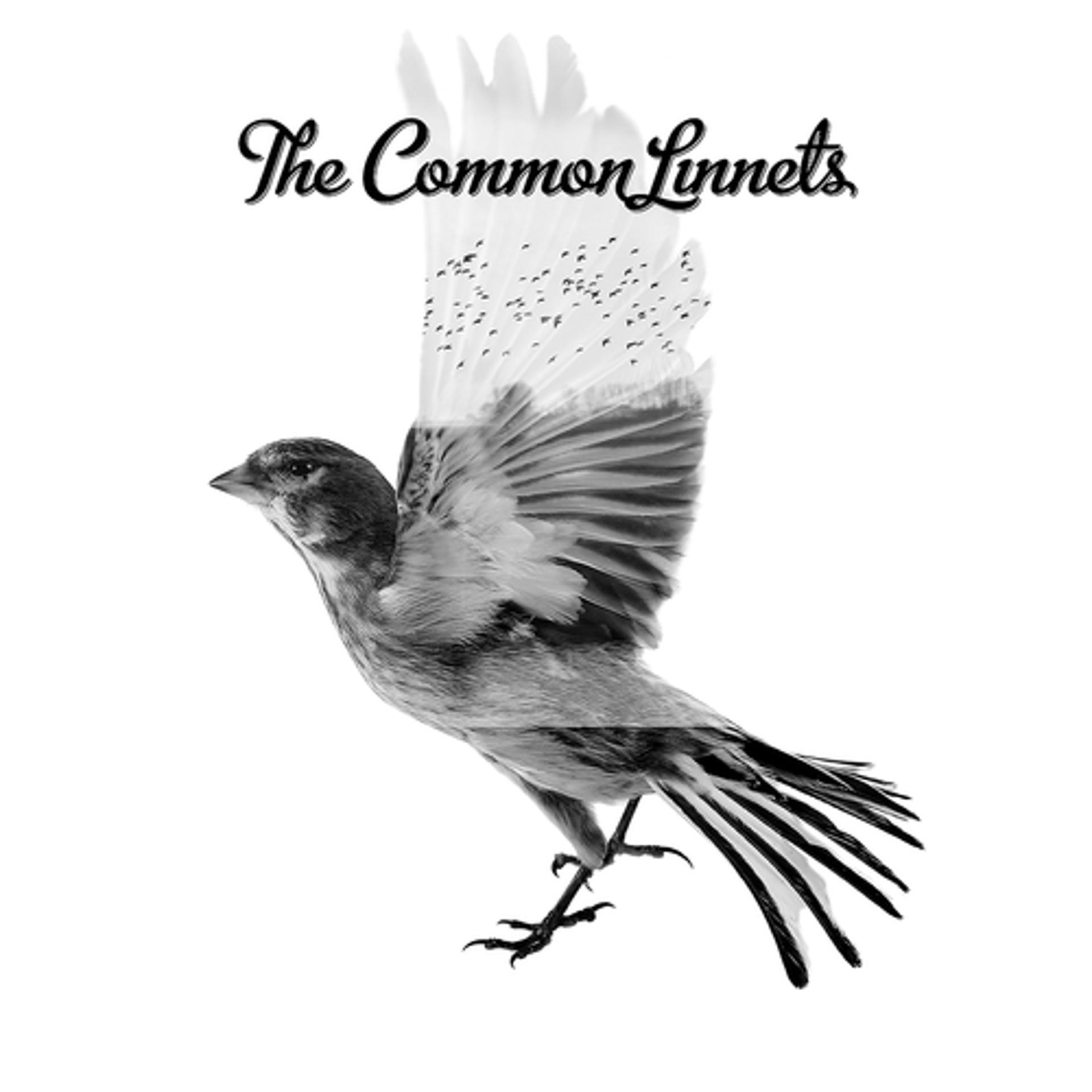 Постер альбома The Common Linnets
