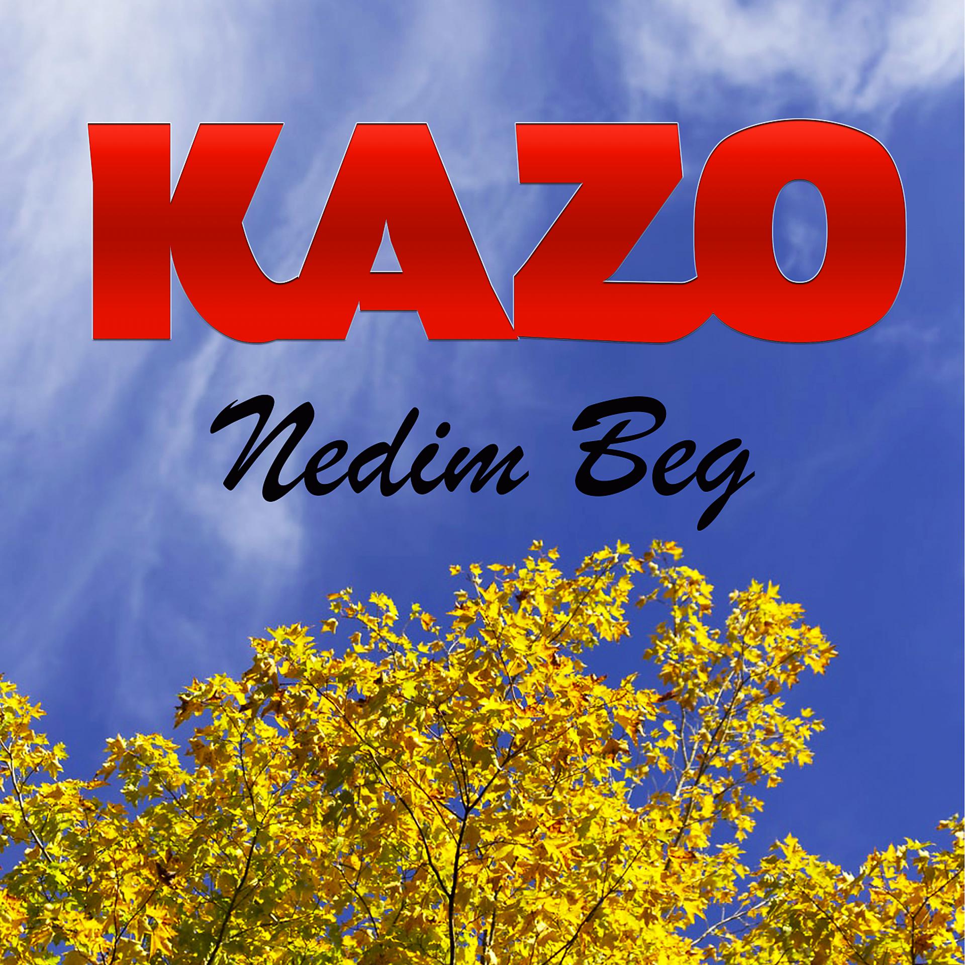 Постер альбома Nedim Beg
