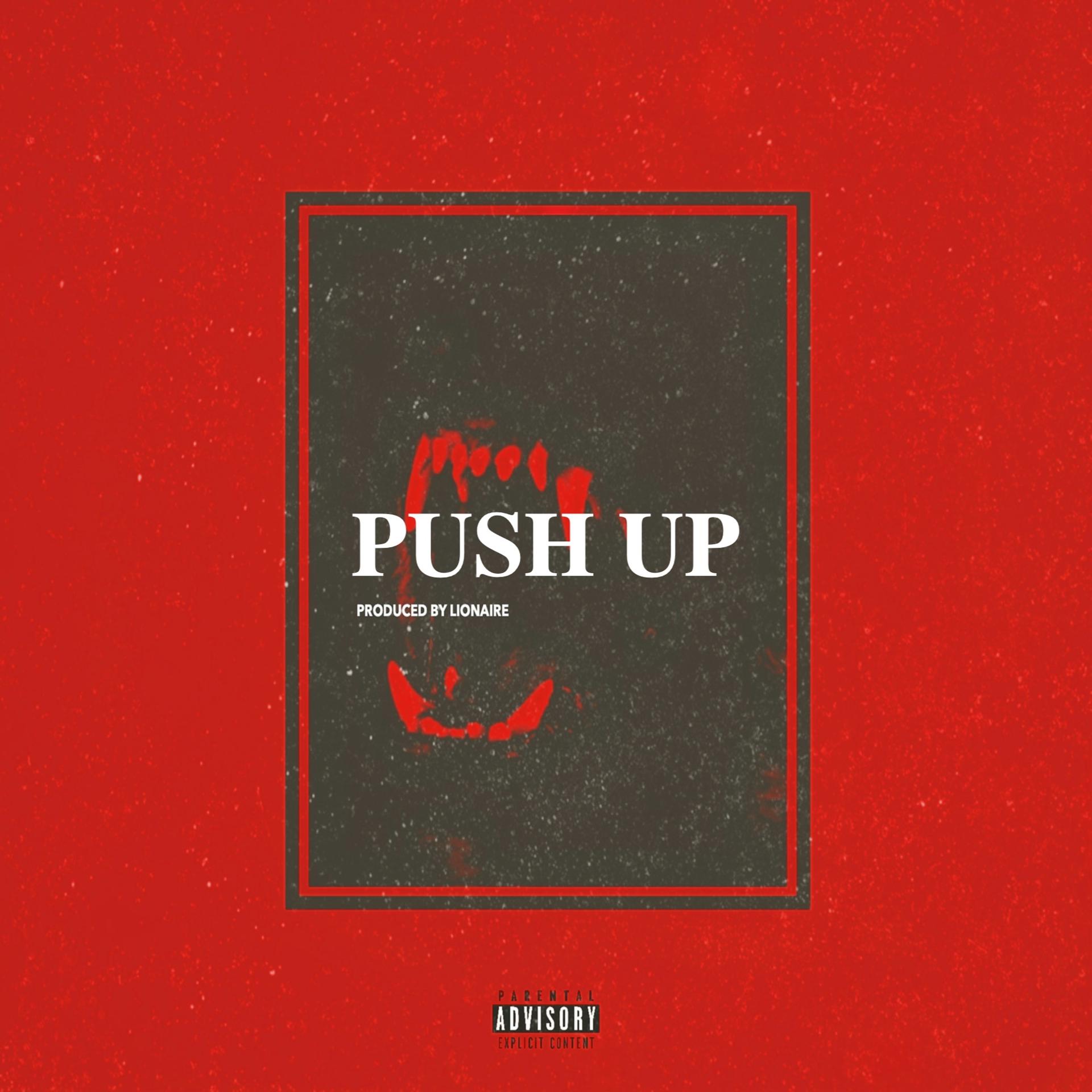 Постер альбома PUSH UP