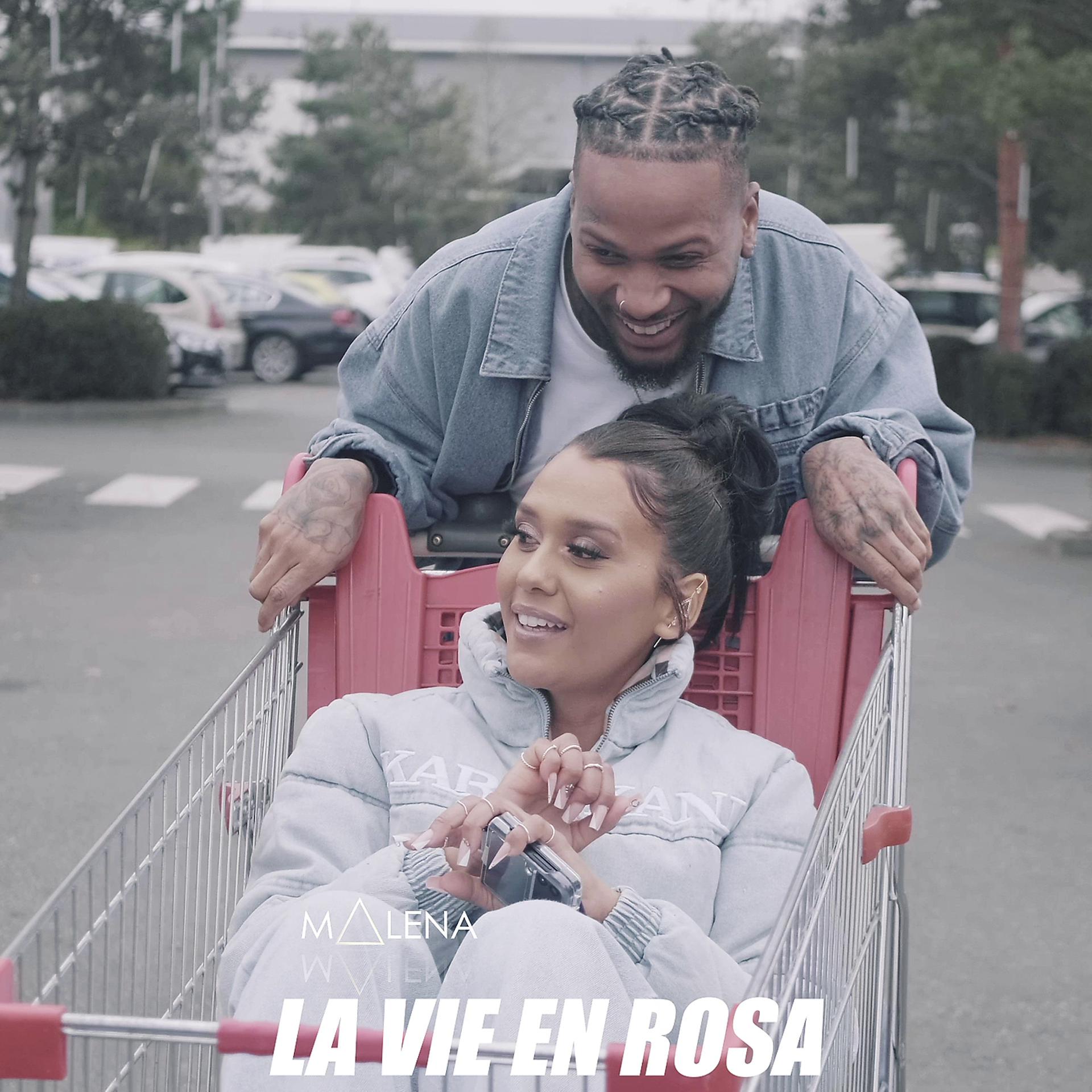 Постер альбома la vie en rosa