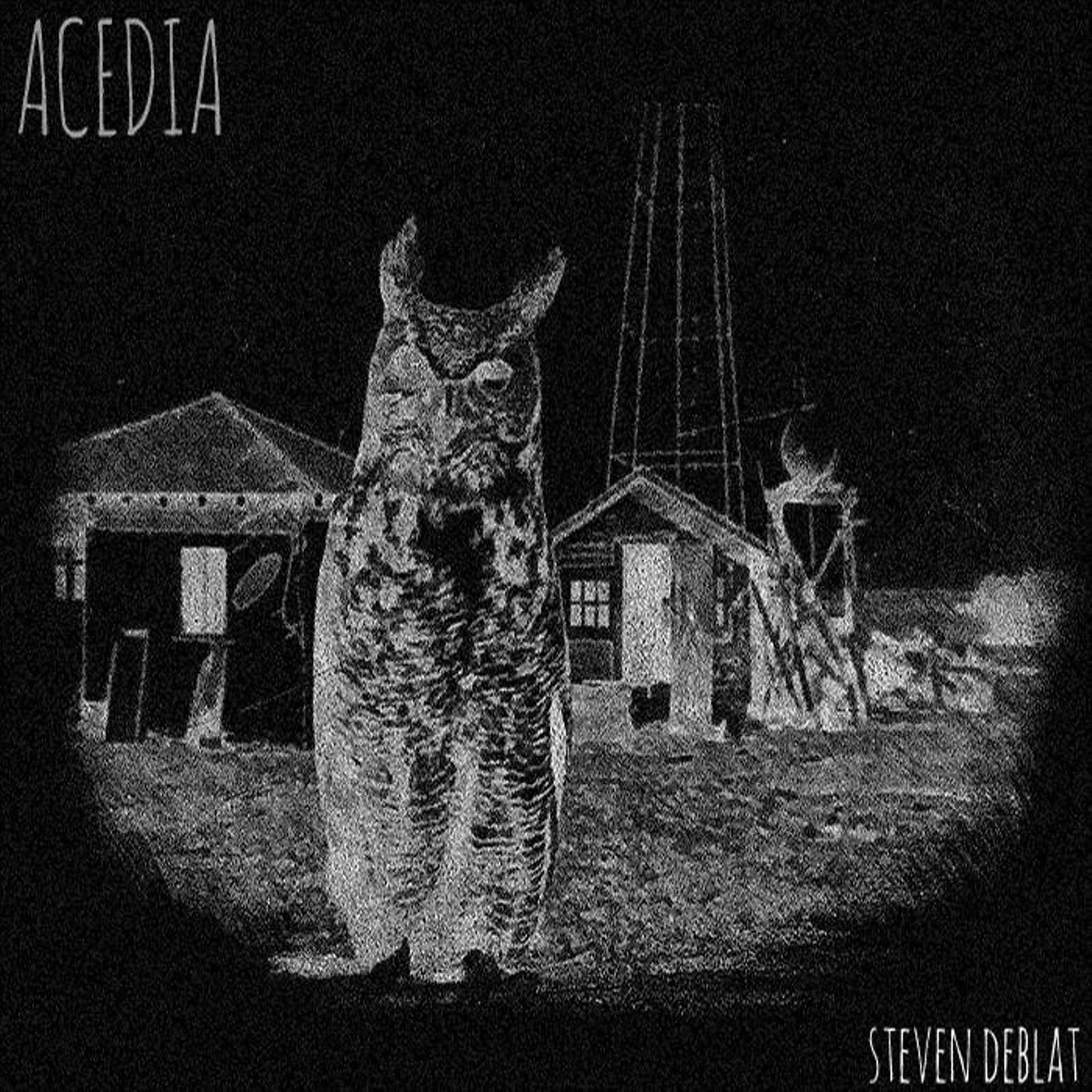 Постер альбома Acedia