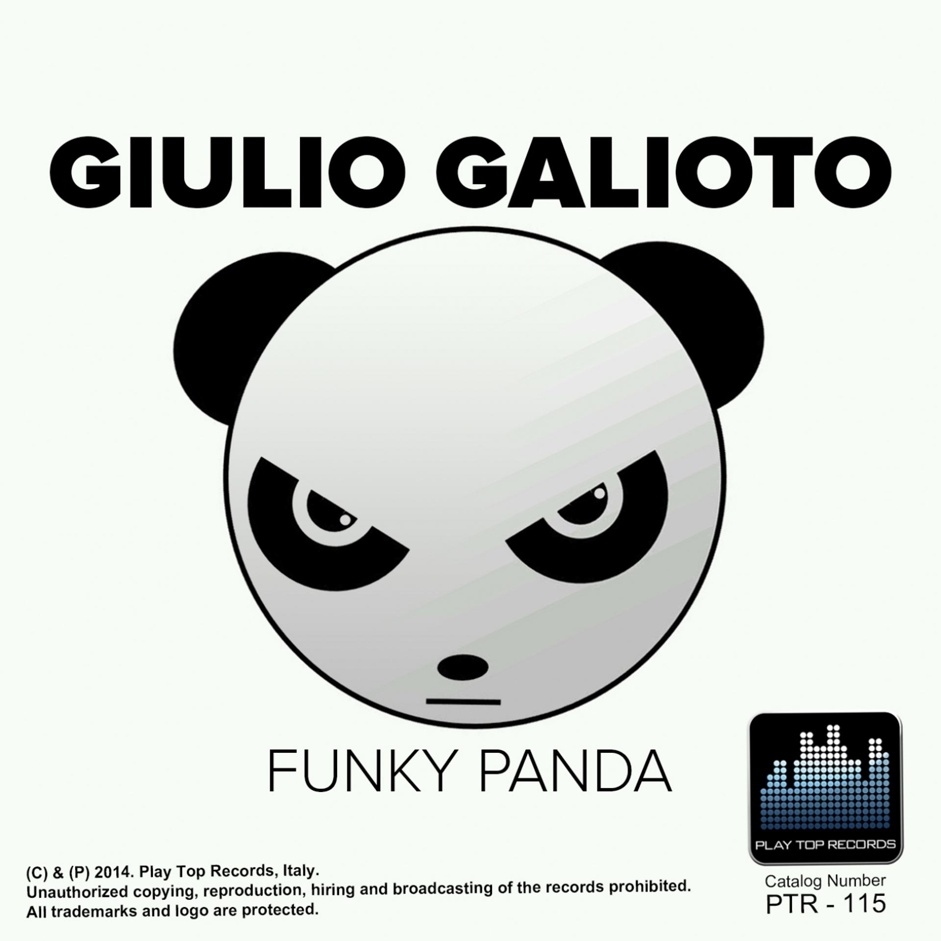 Постер альбома Funky Panda