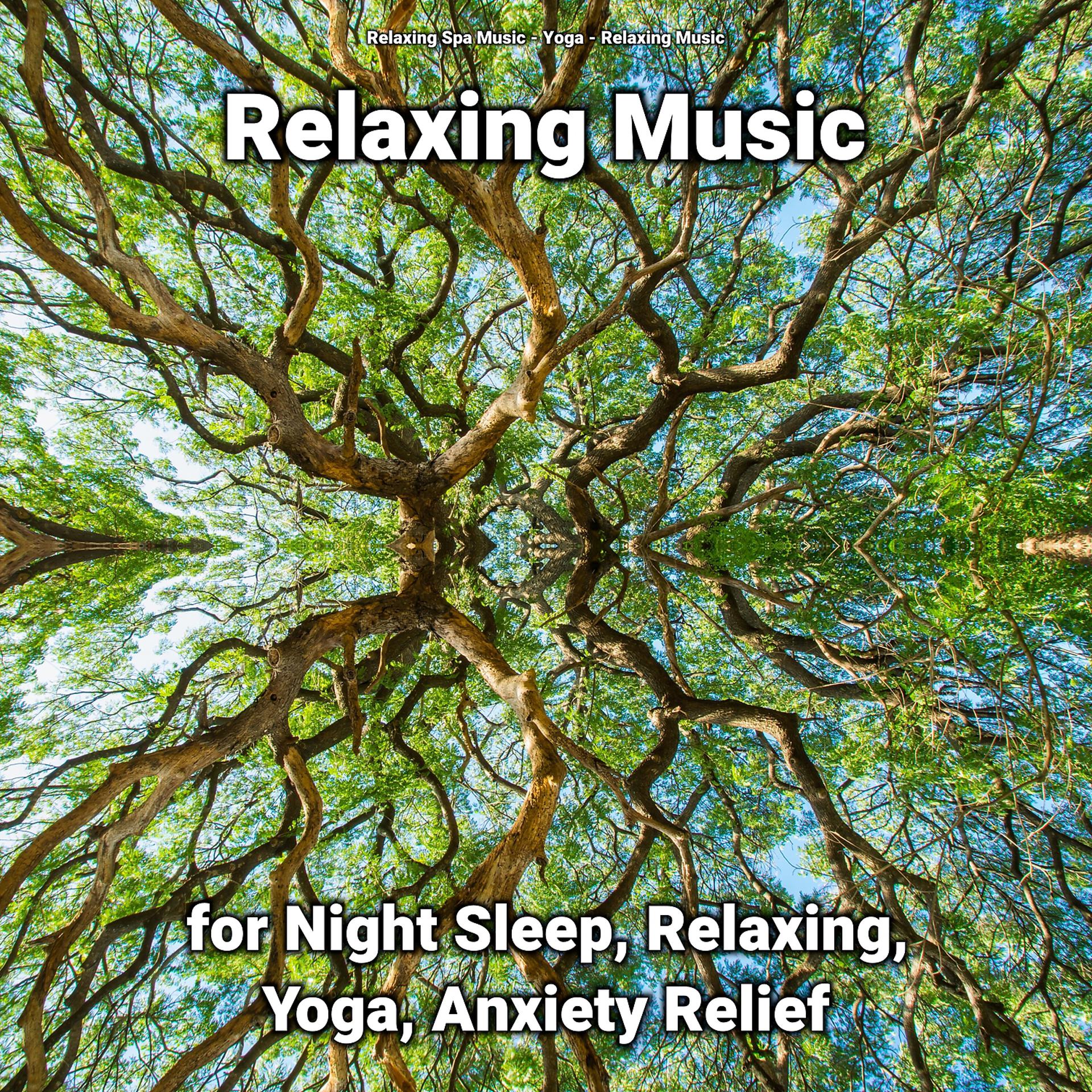 Постер альбома Relaxing Music for Night Sleep, Relaxing, Yoga, Anxiety Relief