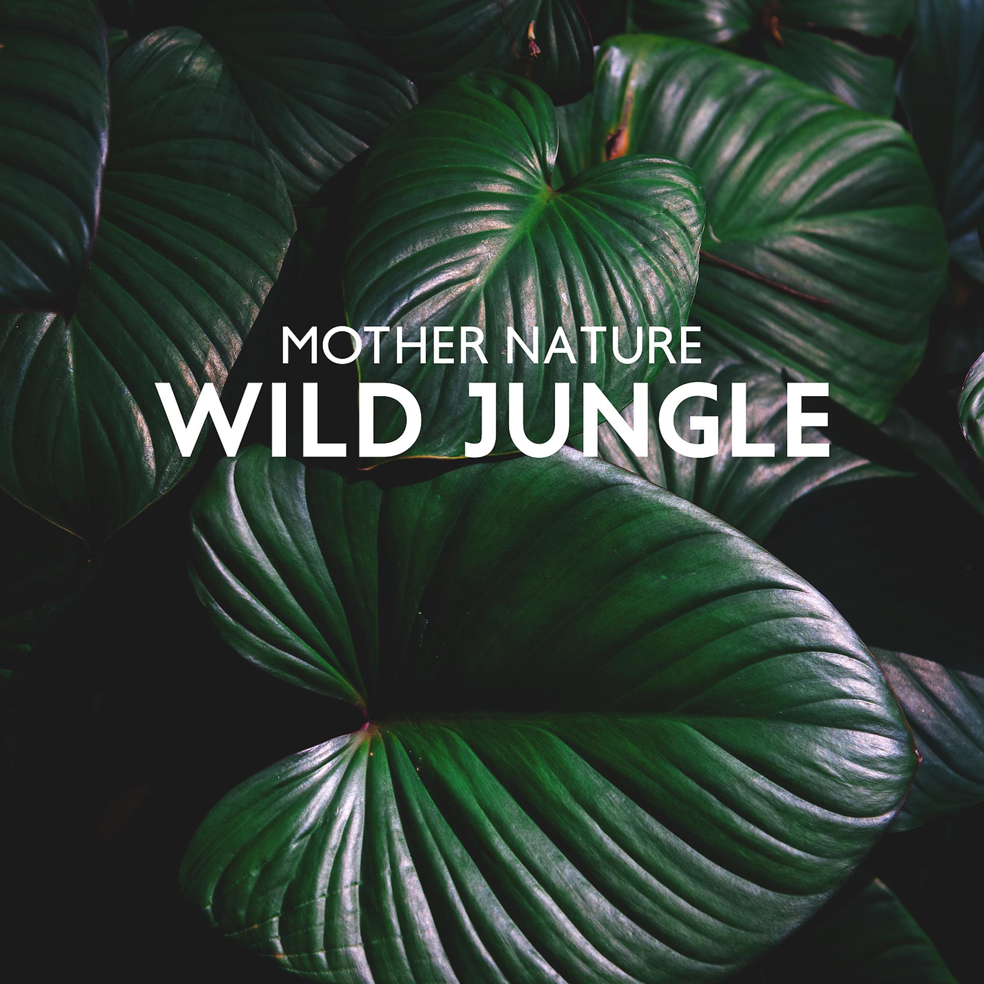 Постер альбома Mother Nature – Wild Jungle, Nature Sounds with Ocean Waves, Calming Crickets Sound, Birds Singing