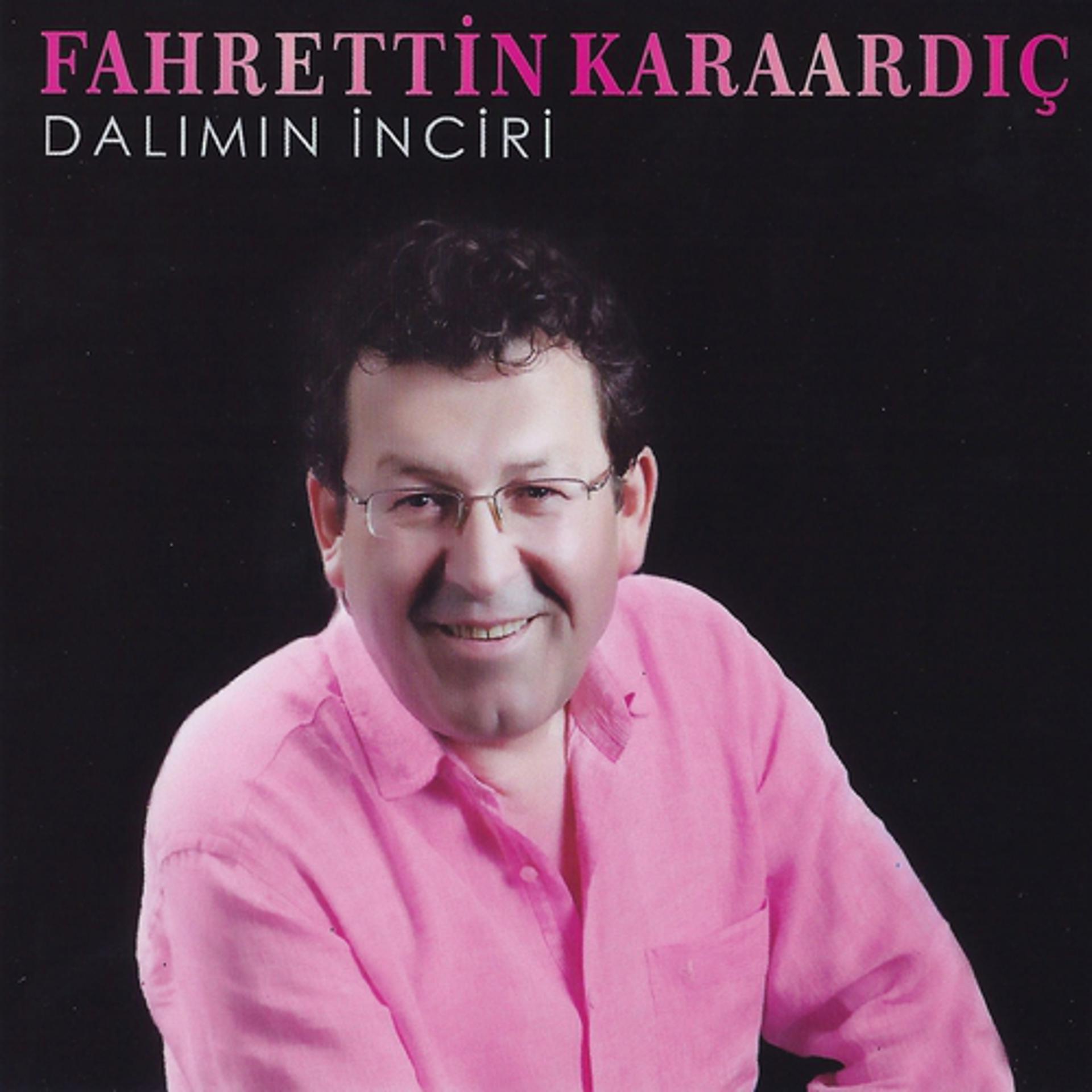 Постер альбома Dalımın İnciri