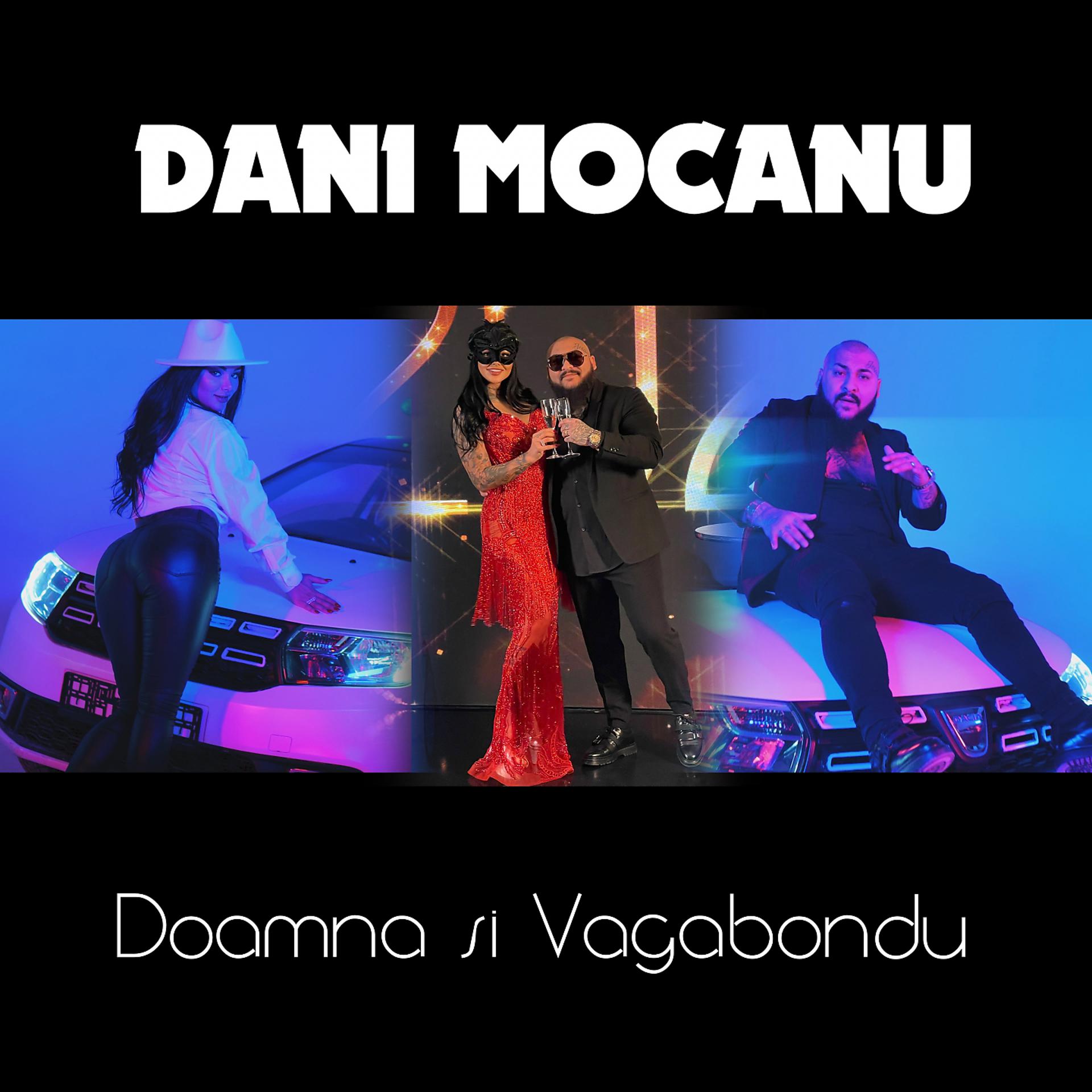 Постер альбома Doamna si Vagabondu