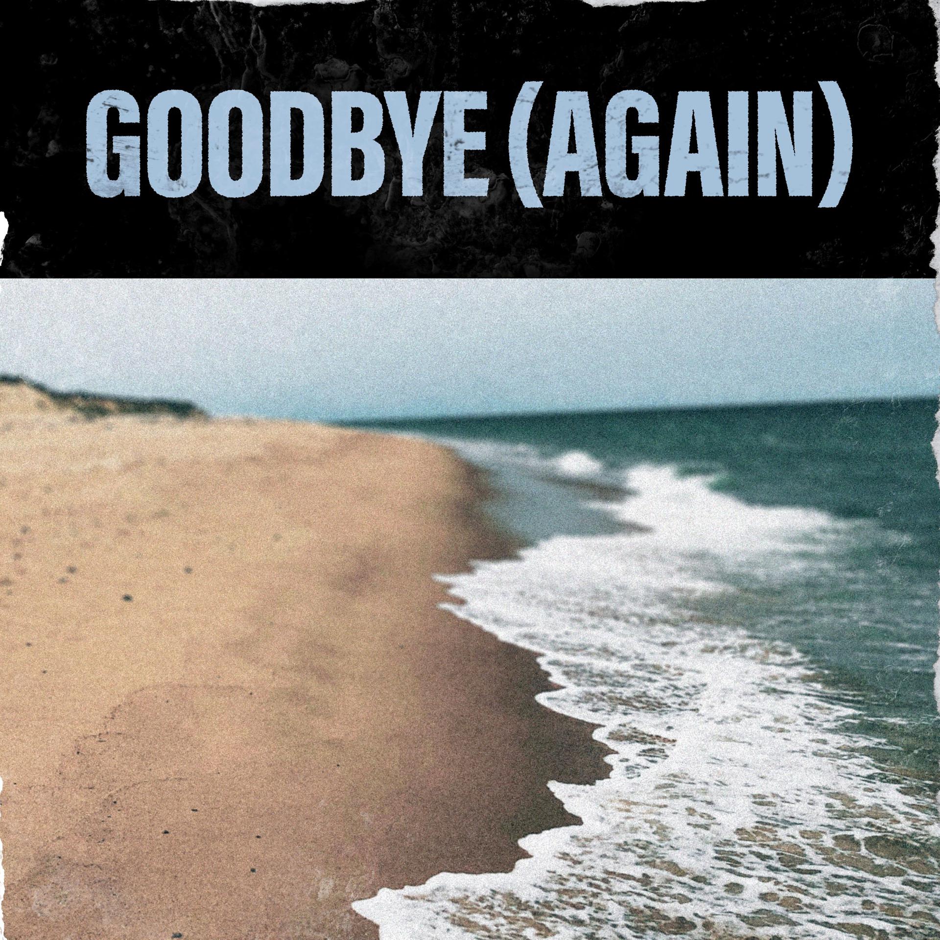 Постер альбома Goodbye (Again)