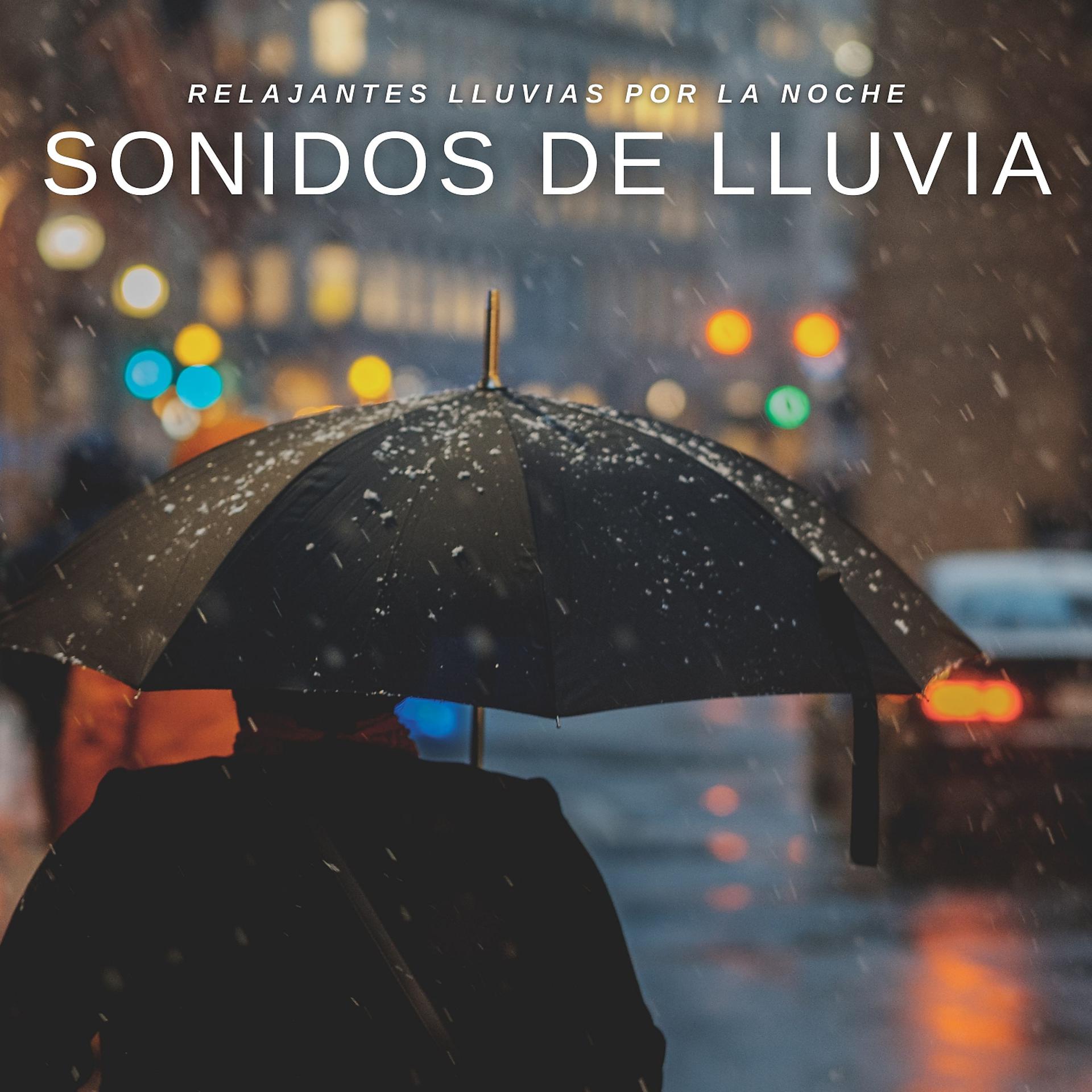 Постер альбома Sonidos De Lluvia: Relajantes Lluvias Por La Noche