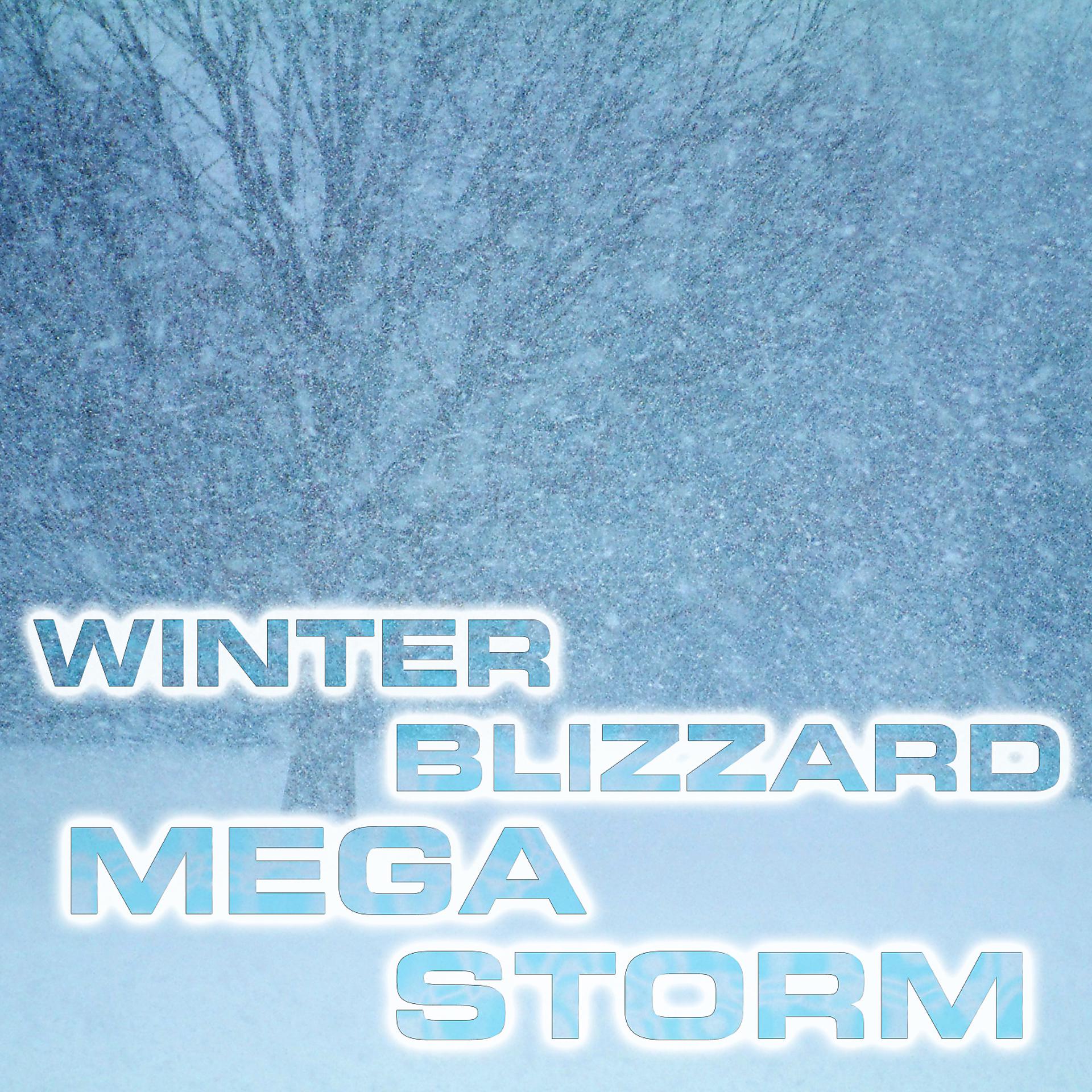 Постер альбома Winter Blizzard Megastorm (feat. Atmospheres White Noise Sounds, Wind Sounds FX, Wind Atmosphere Sounds, Wind White Noise FX, Calming Nature Sound FX & Blizzard White Noise Sound)