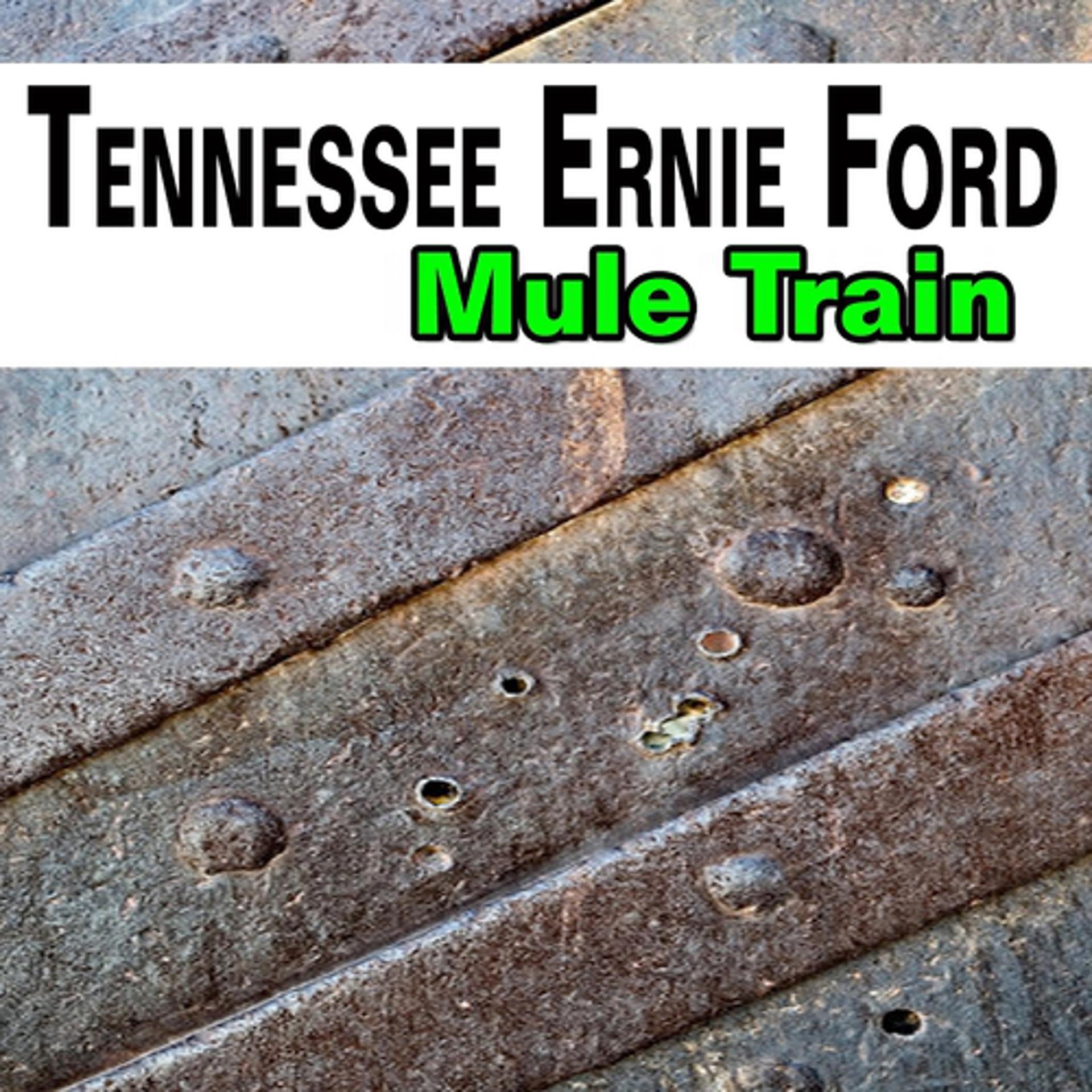 Постер альбома Mule Train