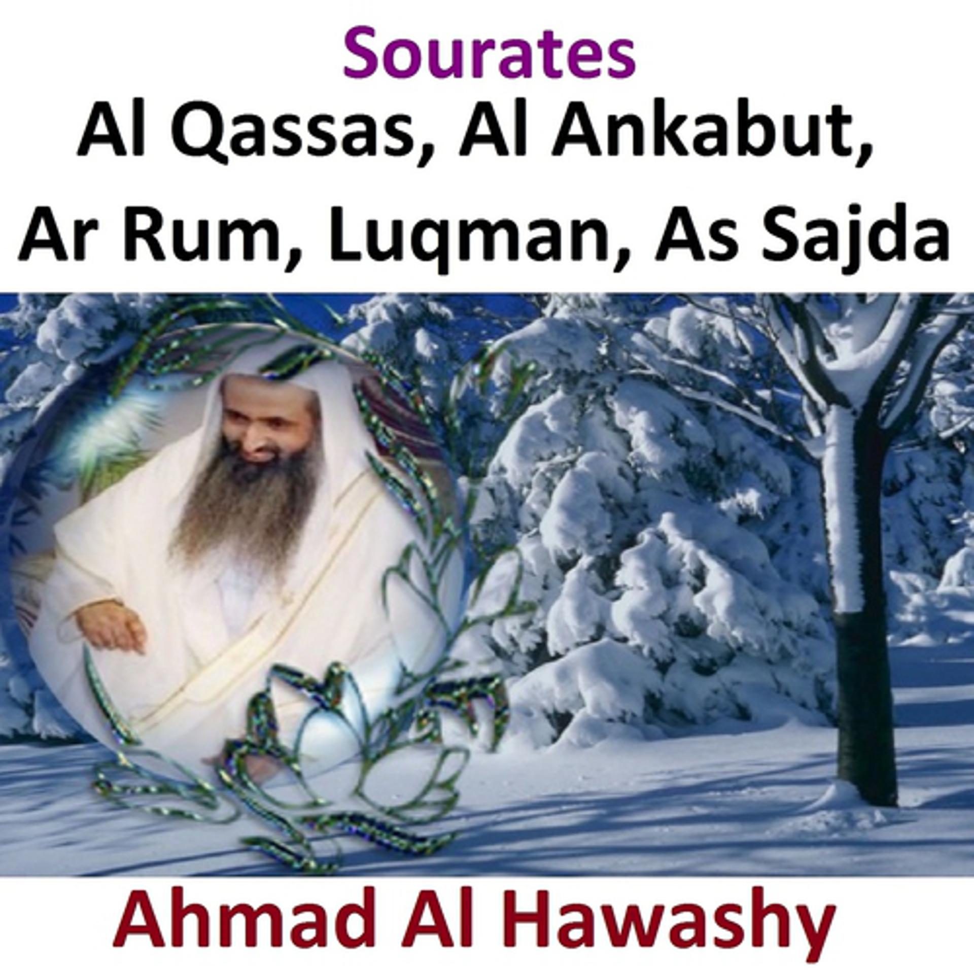 Постер альбома Sourates Al Qassas, Al Ankabut, Ar Rum, Luqman, As Sajda