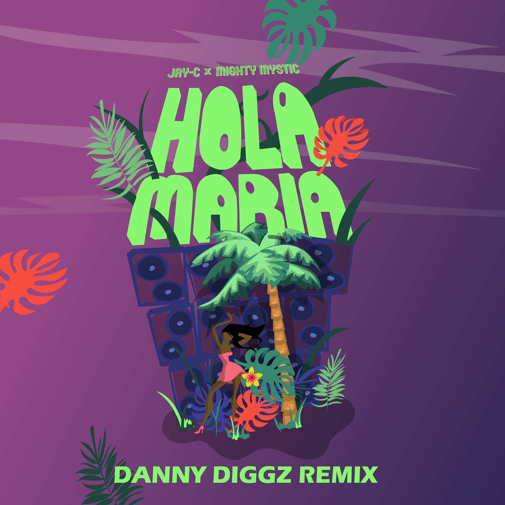 Постер альбома Hola Maria (Danny Diggz Remix)