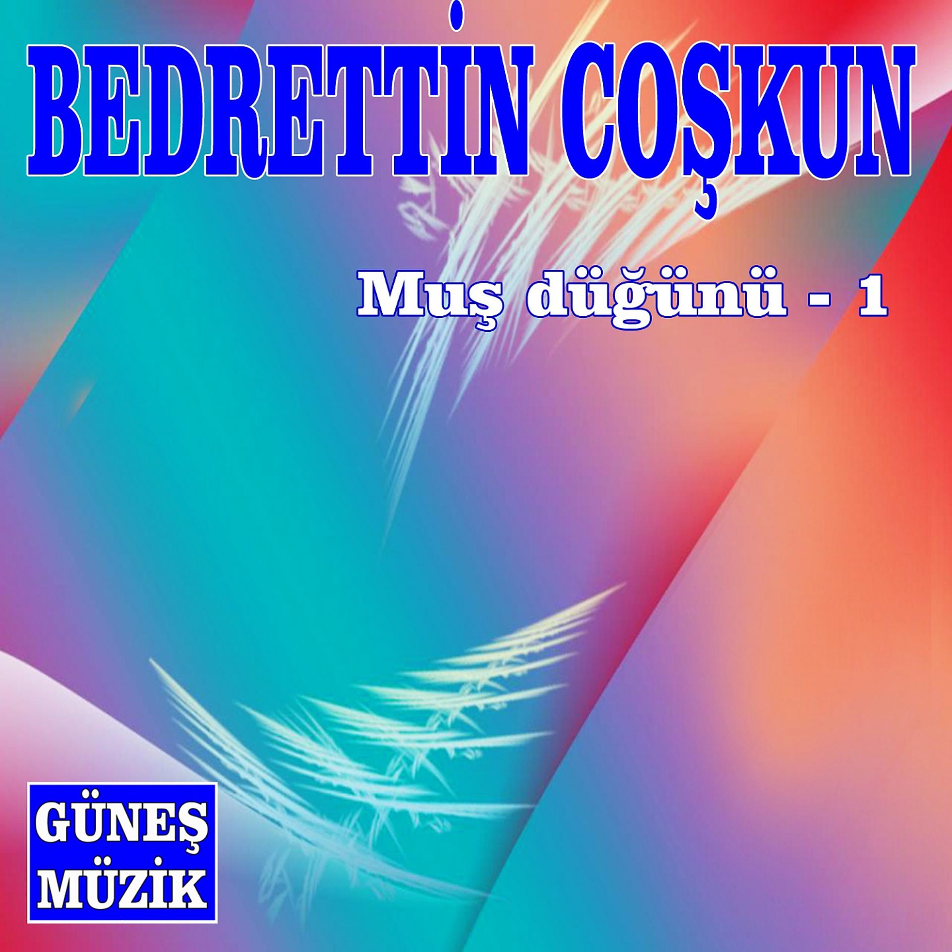 Постер альбома Muş Düğünü, Vol. 1