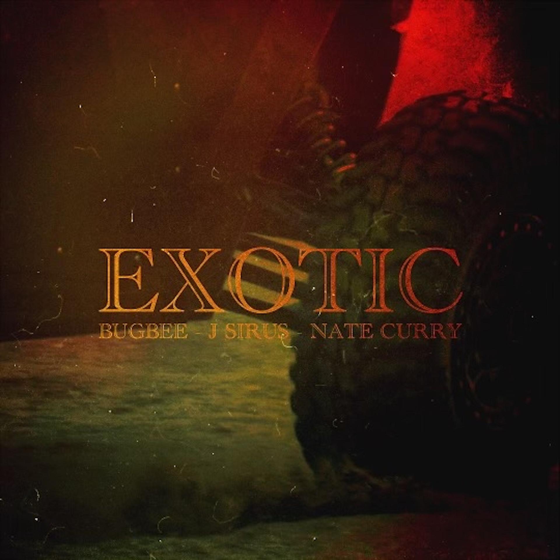 Постер альбома Exotic (feat. J. Sirus & Nate Curry)