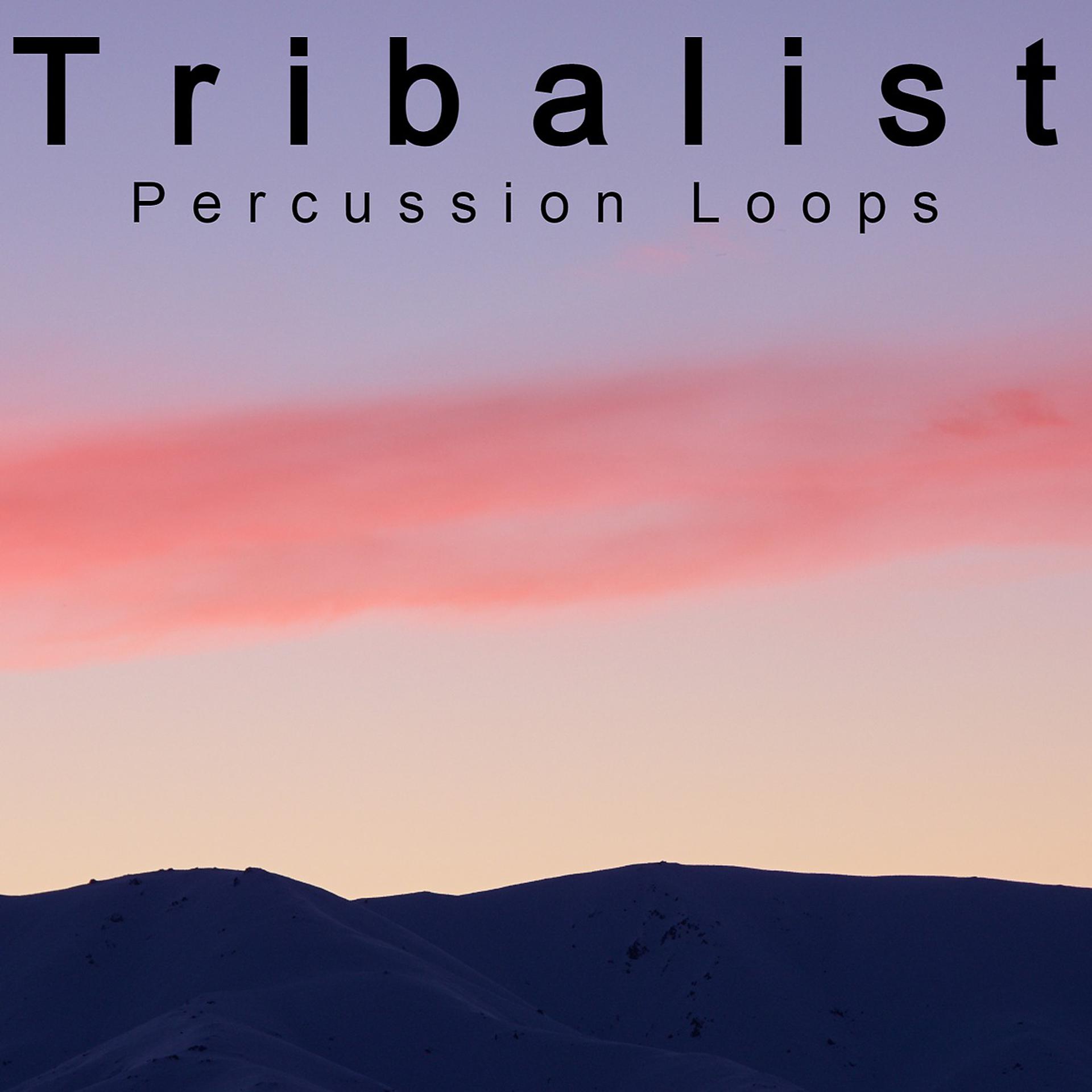 Постер альбома Percussion Loops