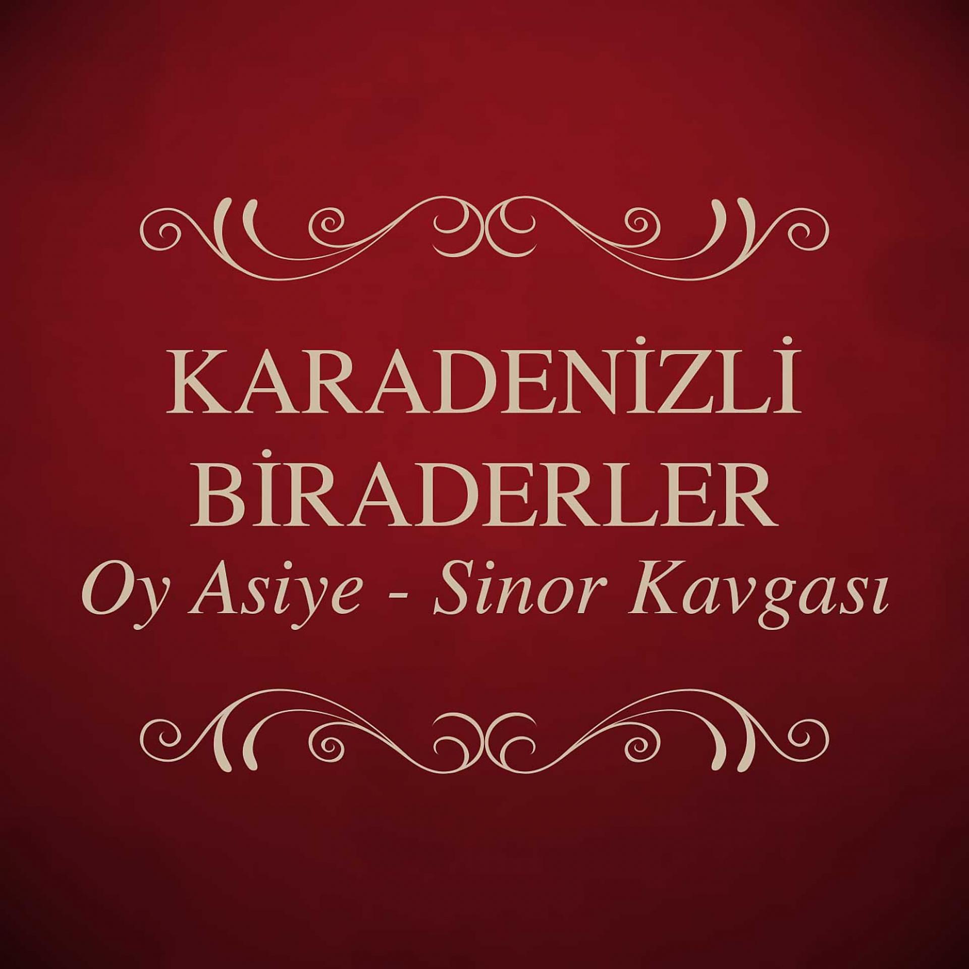 Постер альбома Oy Asiye / Sinor Kavgası