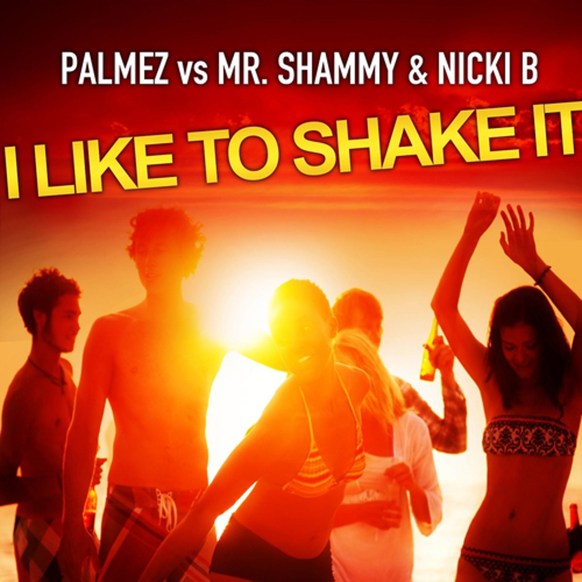 Постер альбома I Like to Shake It