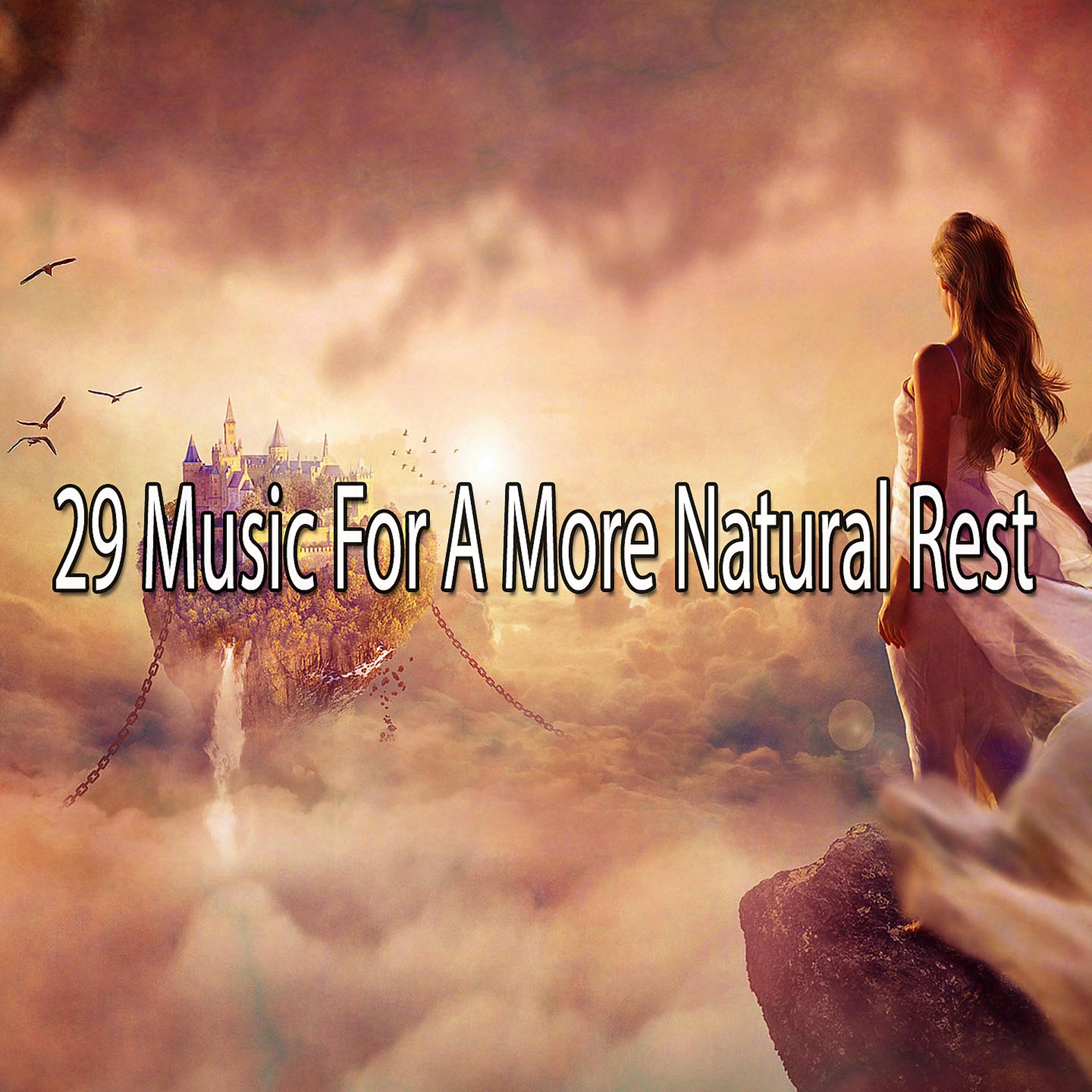 Постер альбома 29 Музыка для более естественного отдыха