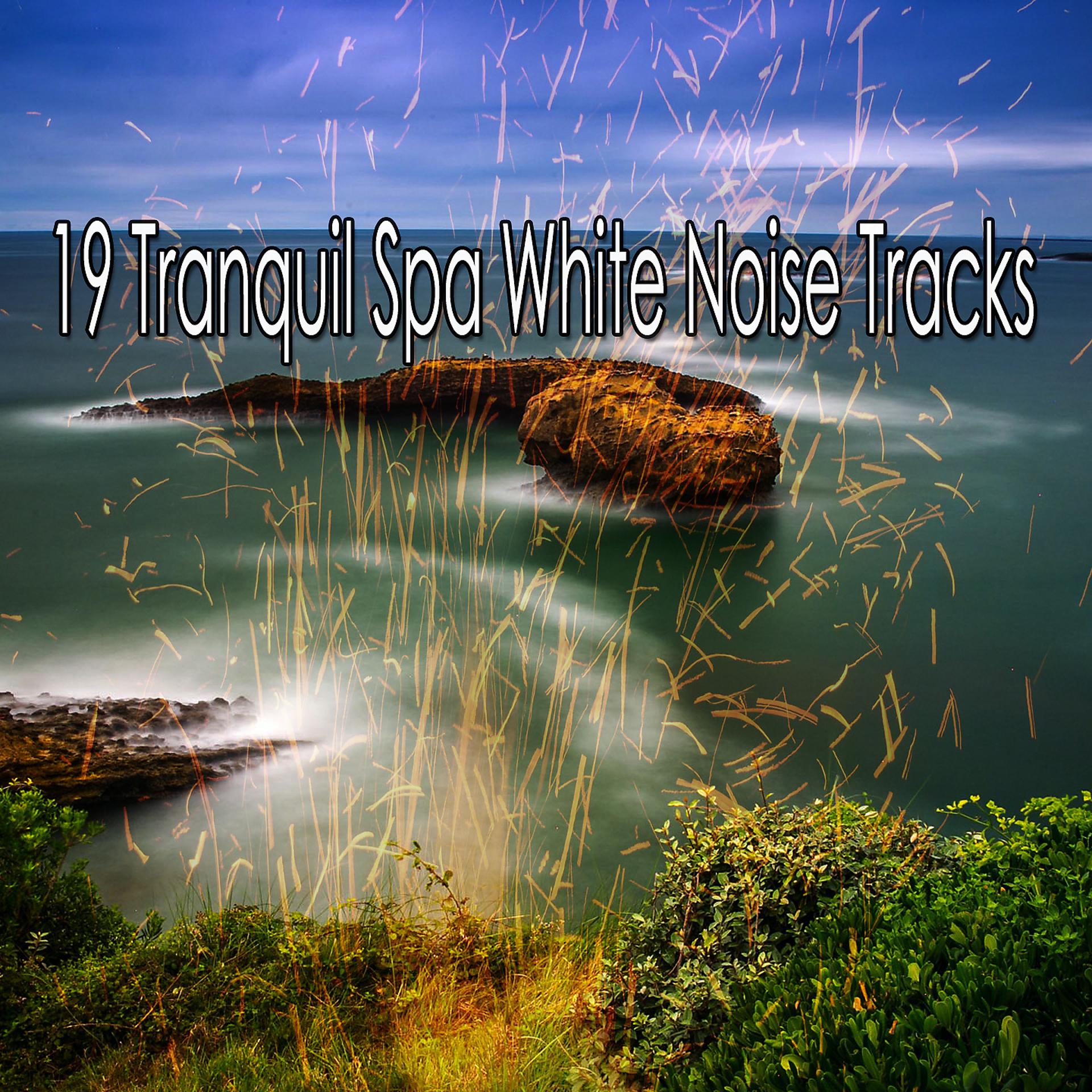 Постер альбома 19 треков белого шума Tranquil Spa