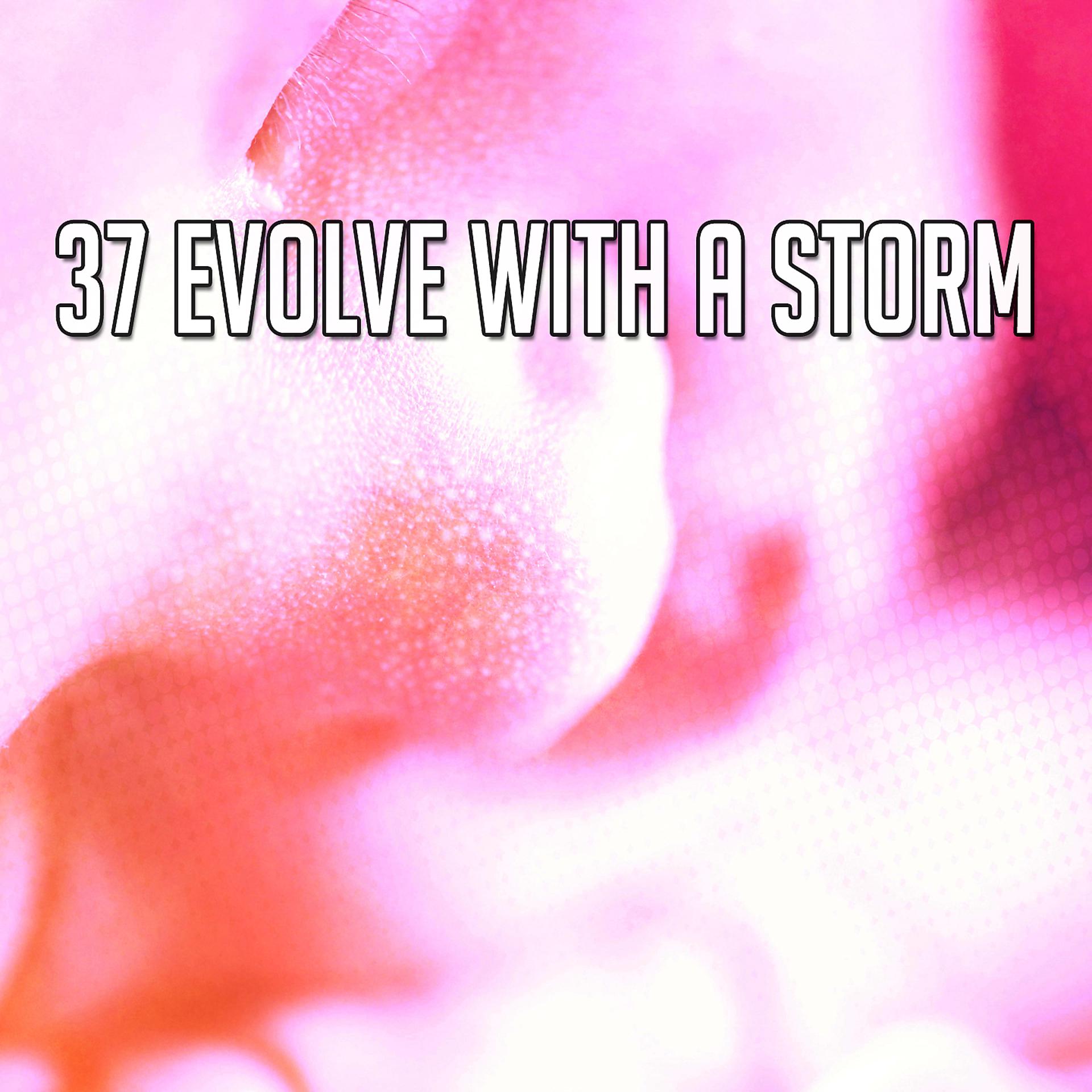 Постер альбома 37 Эволюция со штормом