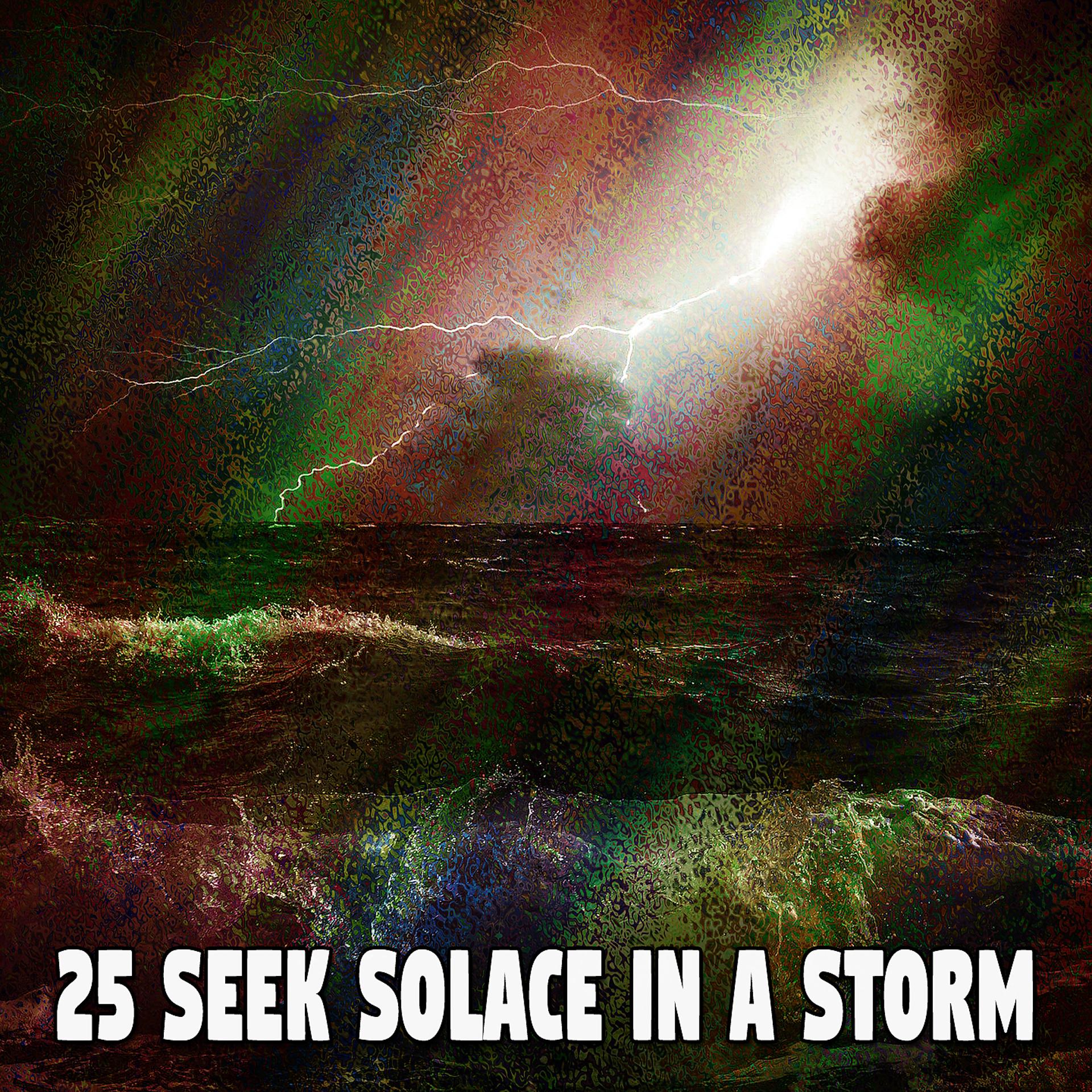 Постер альбома 25 В поисках утешения в шторме