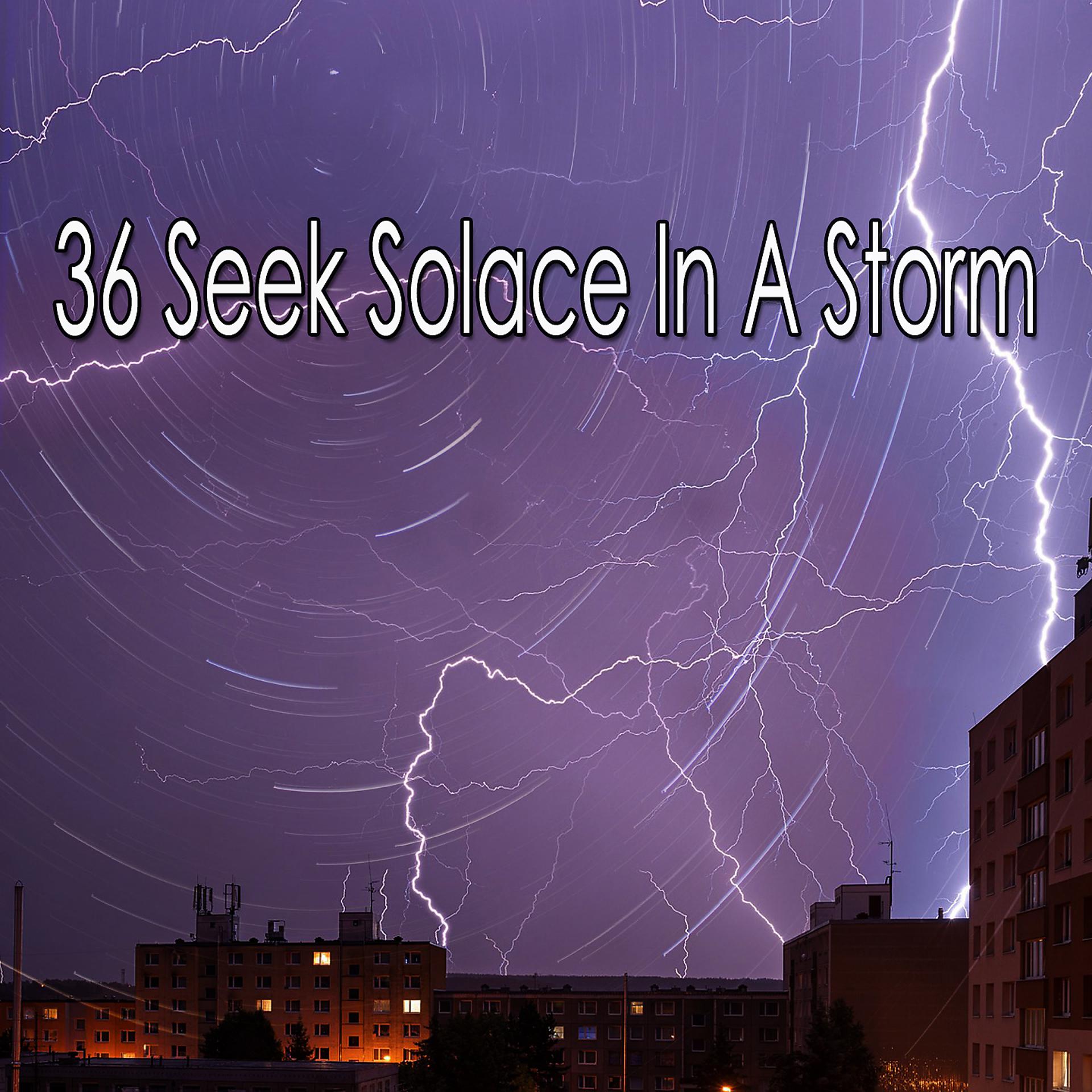 Постер альбома 36 В поисках утешения в шторме