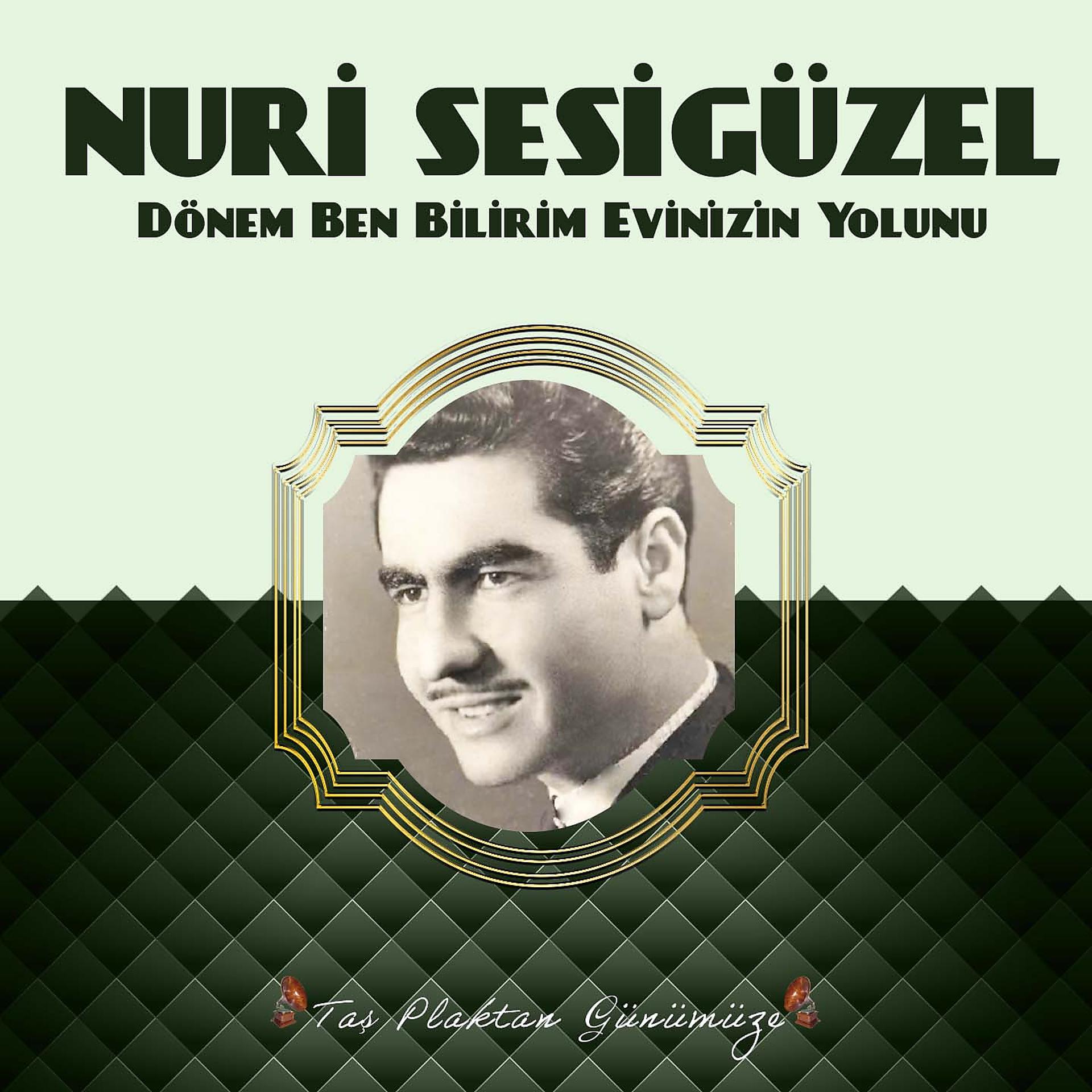 Постер альбома Dönem Ben Bilirim Evinizin Yolunu