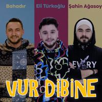 Постер альбома Vur Dibine