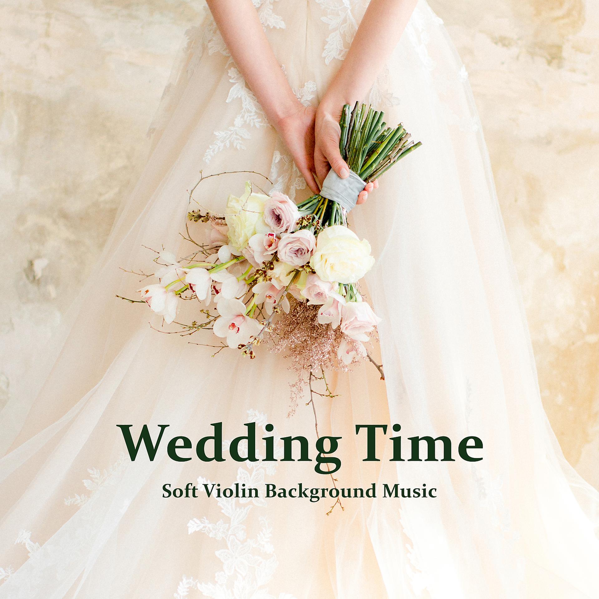 Постер альбома Wedding Time: Soft Violin Background Music