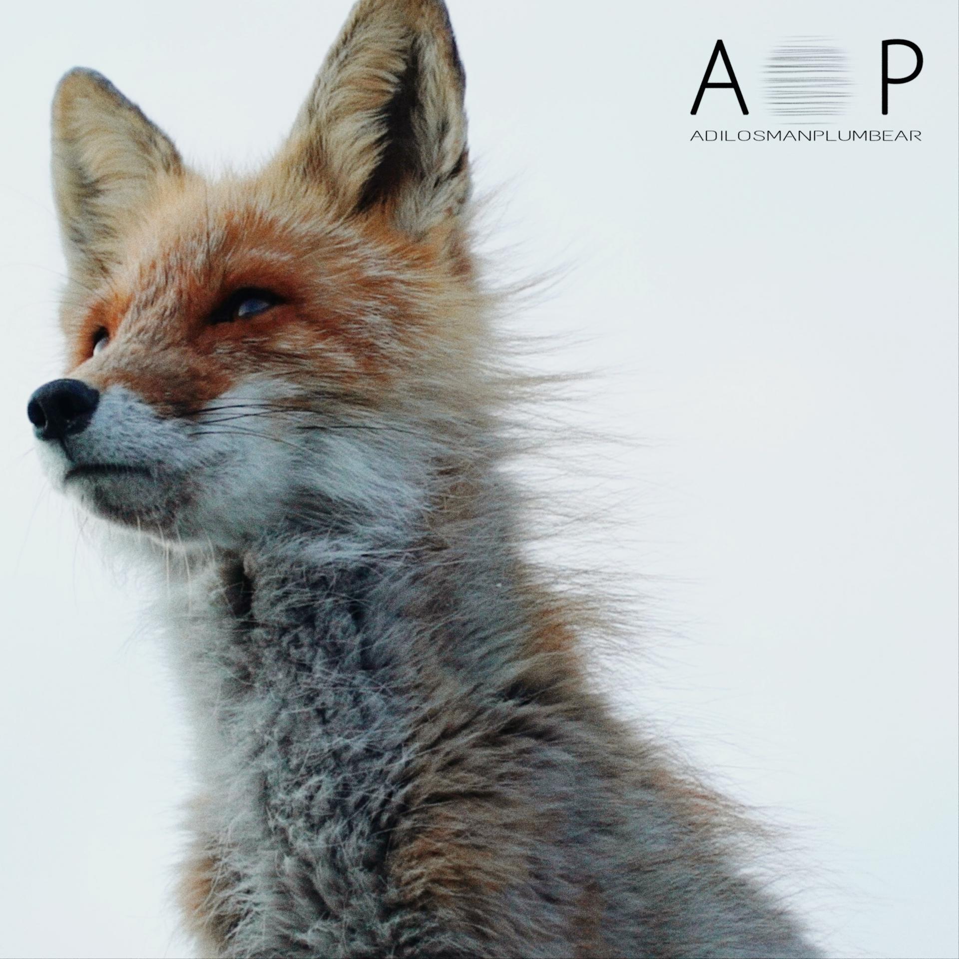 Постер альбома A.P