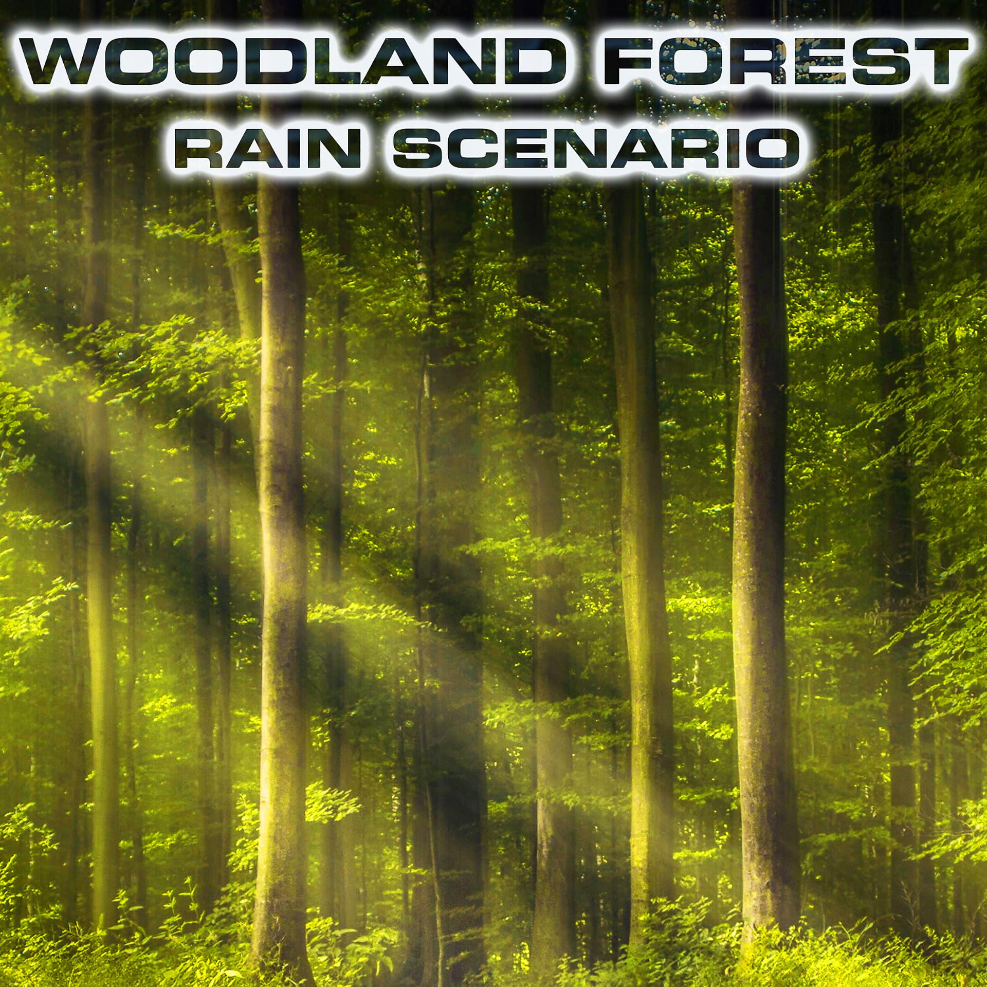 Постер альбома Woodland Forest Rain Scenario (feat. Atmospheres Sounds, Rain Water Sounds, Forest Breeze Sounds FX, Calming Nature Sound FX, Rain Atmosphere Sounds & Thunder & Wind Atmosphere)
