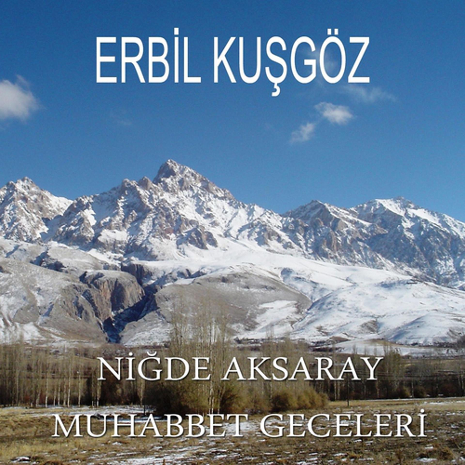 Постер альбома Niğde Aksaray Muhabbet Geceleri